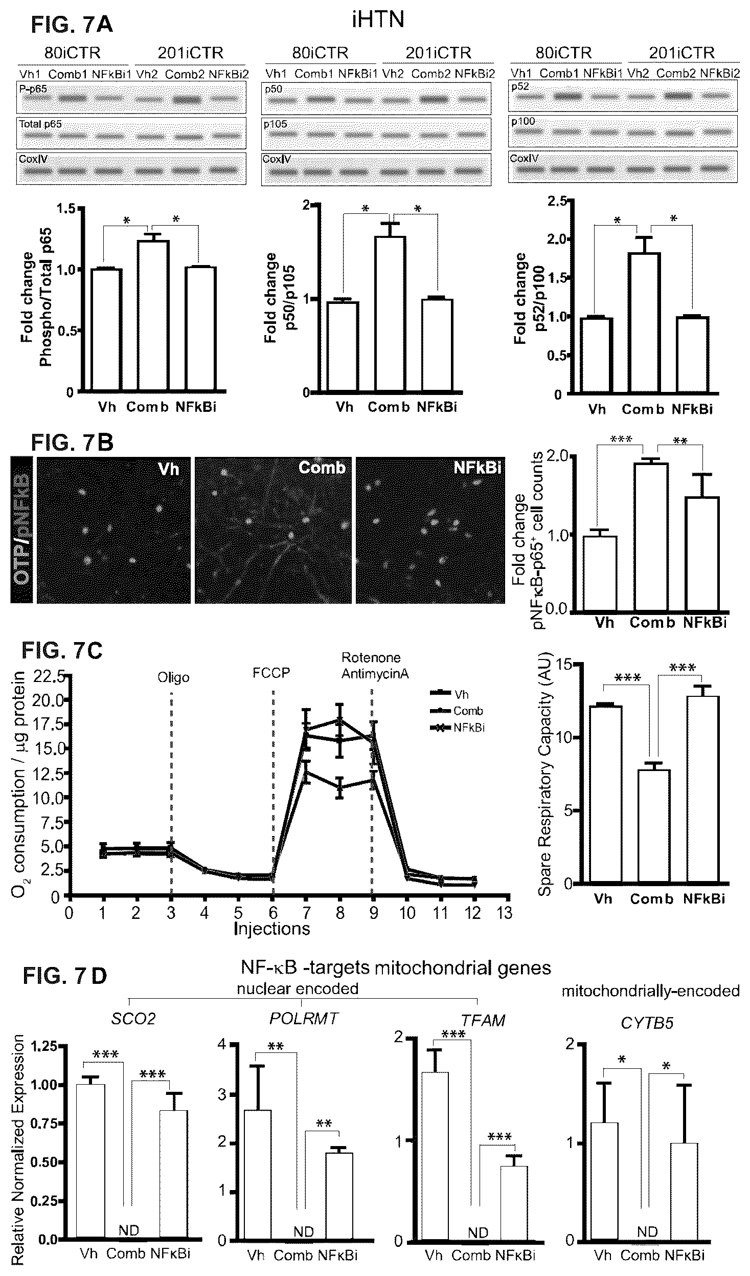 Patent US12378528 Figure 9 – Systems and methods for growth of intestinal cells in microfluidic devices