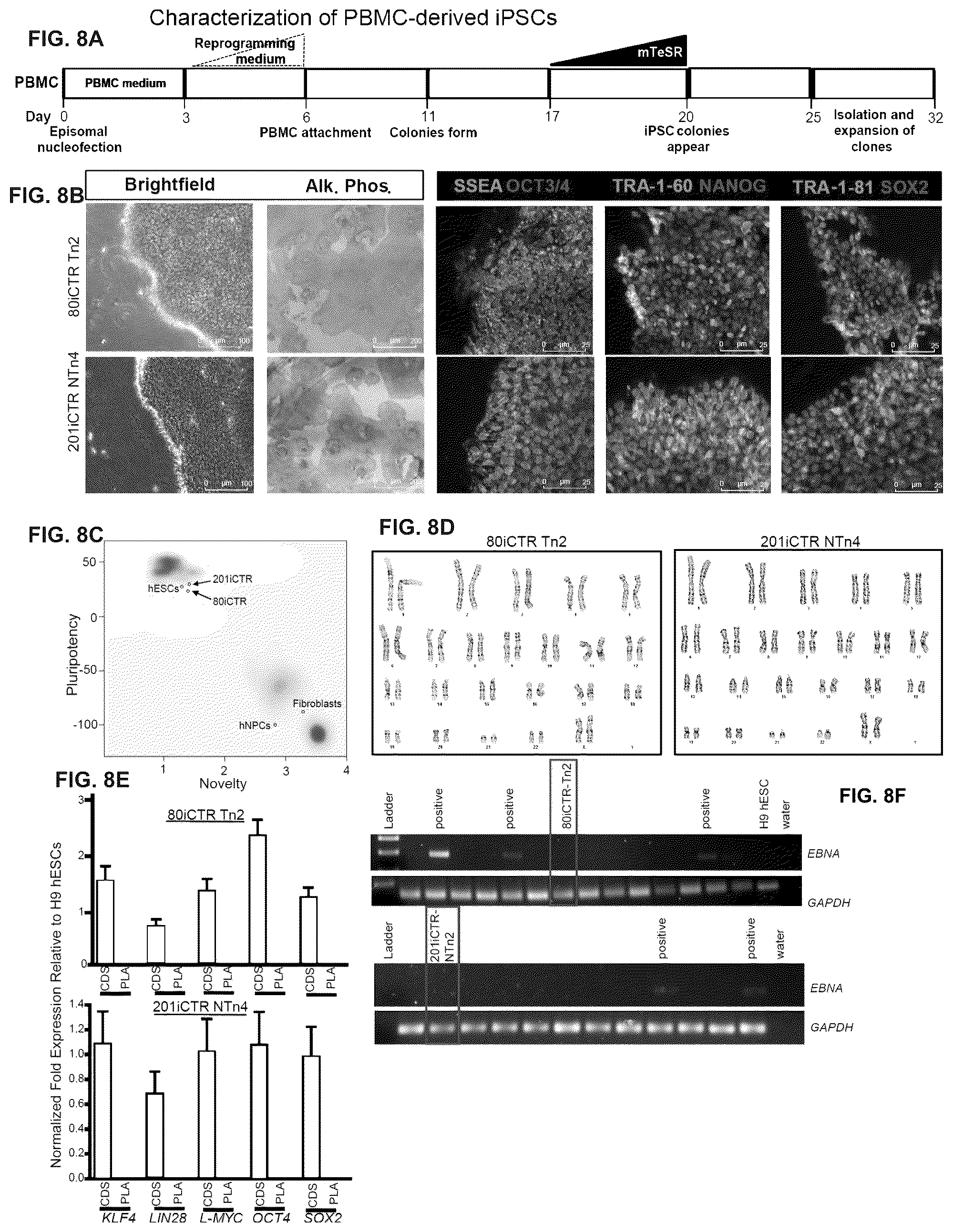 Patent US12378528 Figure 10 – Systems and methods for growth of intestinal cells in microfluidic devices