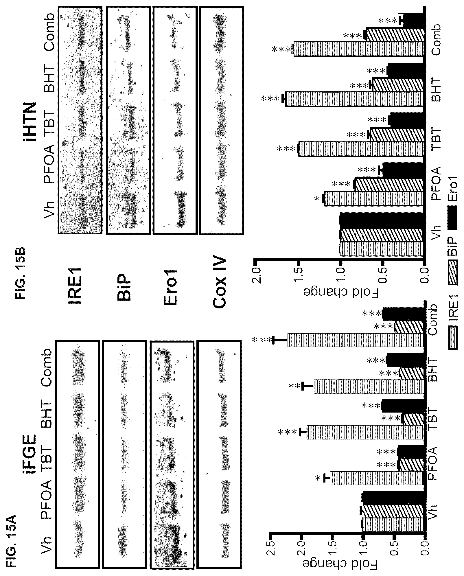 Patent US12378528 Figure 18 – Systems and methods for growth of intestinal cells in microfluidic devices