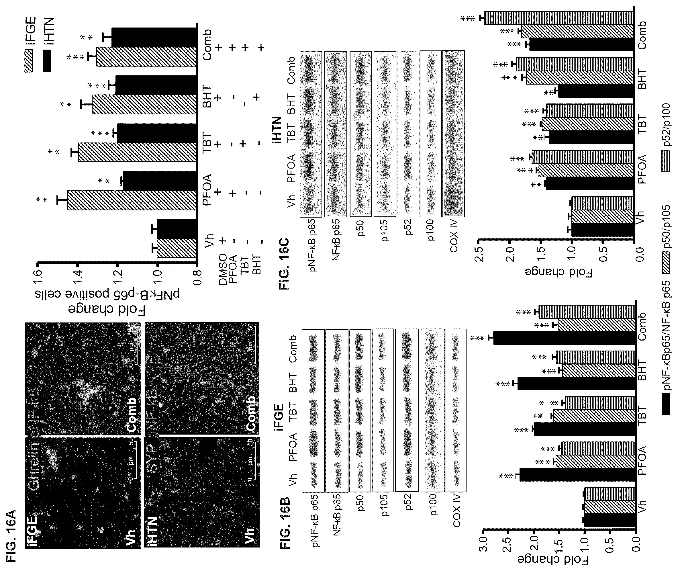 Patent US12378528 Figure 19 – Systems and methods for growth of intestinal cells in microfluidic devices