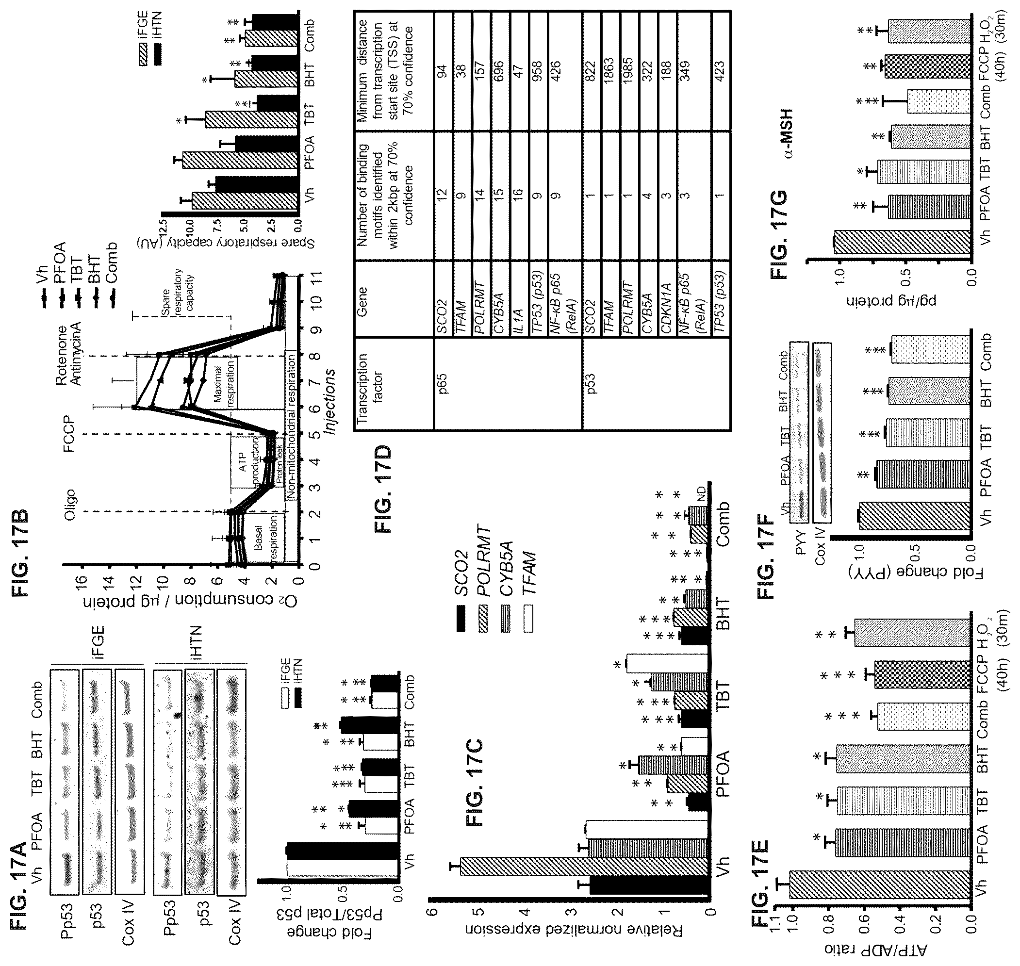 Patent US12378528 Figure 20 – Systems and methods for growth of intestinal cells in microfluidic devices