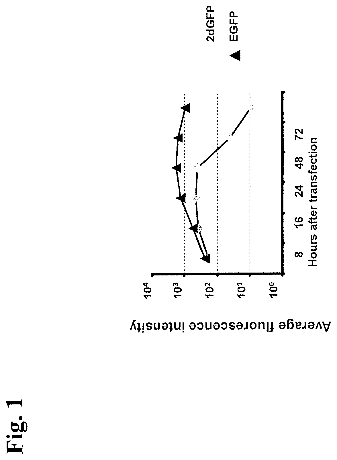 Patent US12378531 Figure 1 – Use of RNA for reprogramming somatic cells