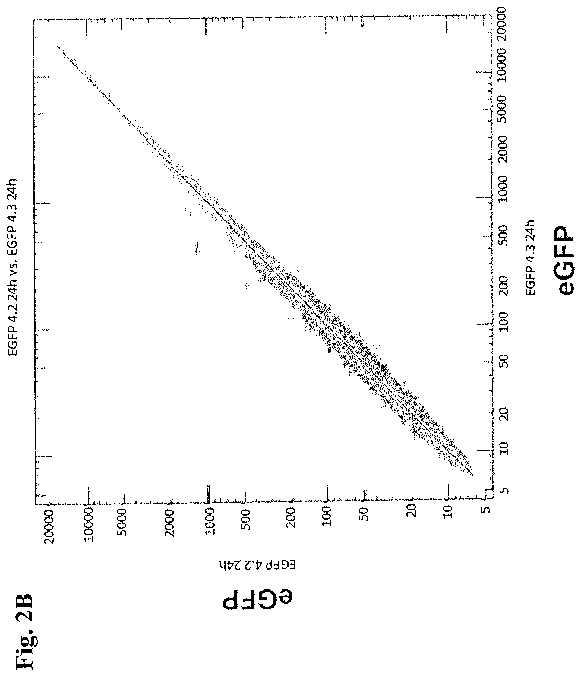 Patent US12378531 Figure 3 – Use of RNA for reprogramming somatic cells