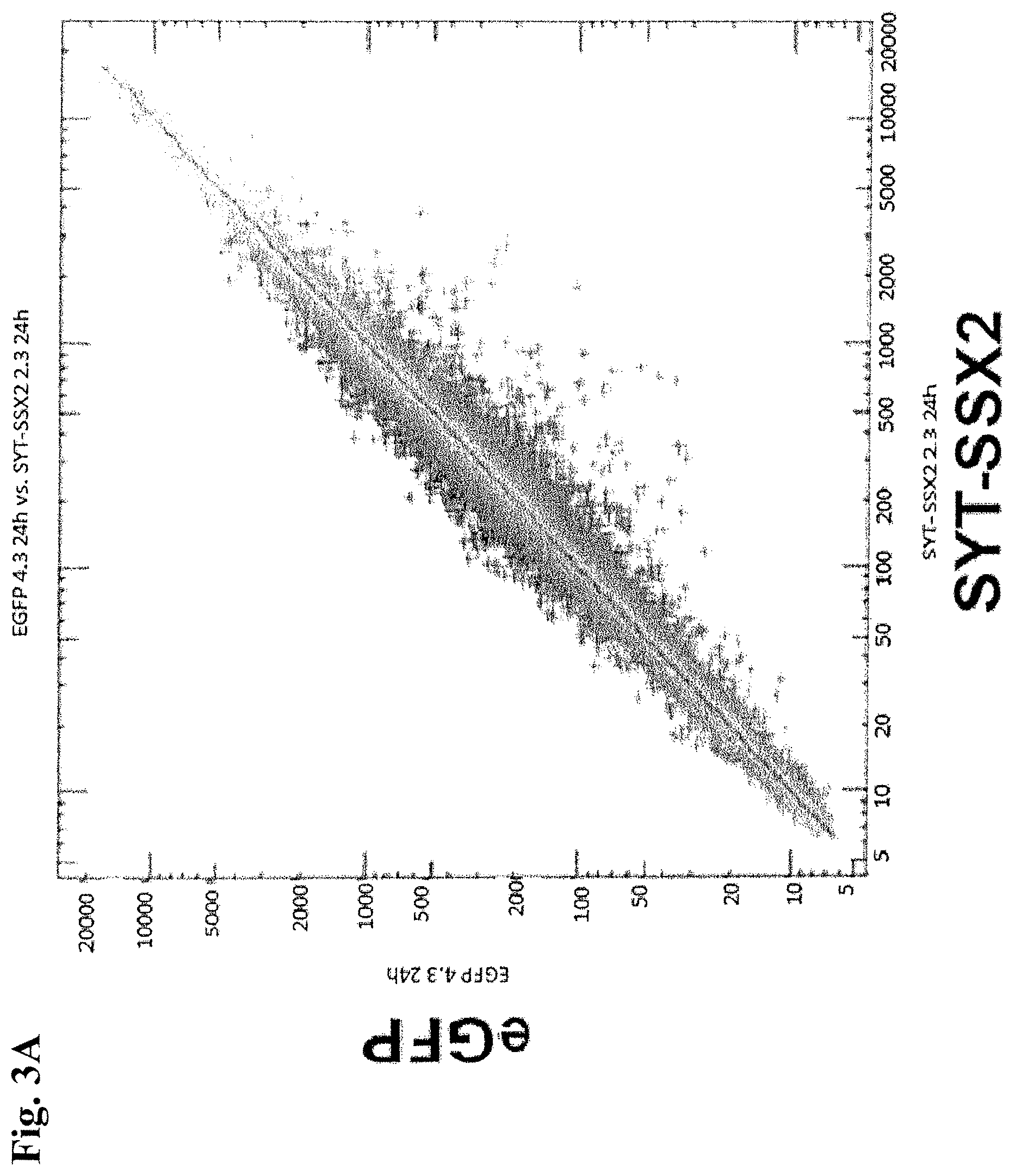 Patent US12378531 Figure 4 – Use of RNA for reprogramming somatic cells
