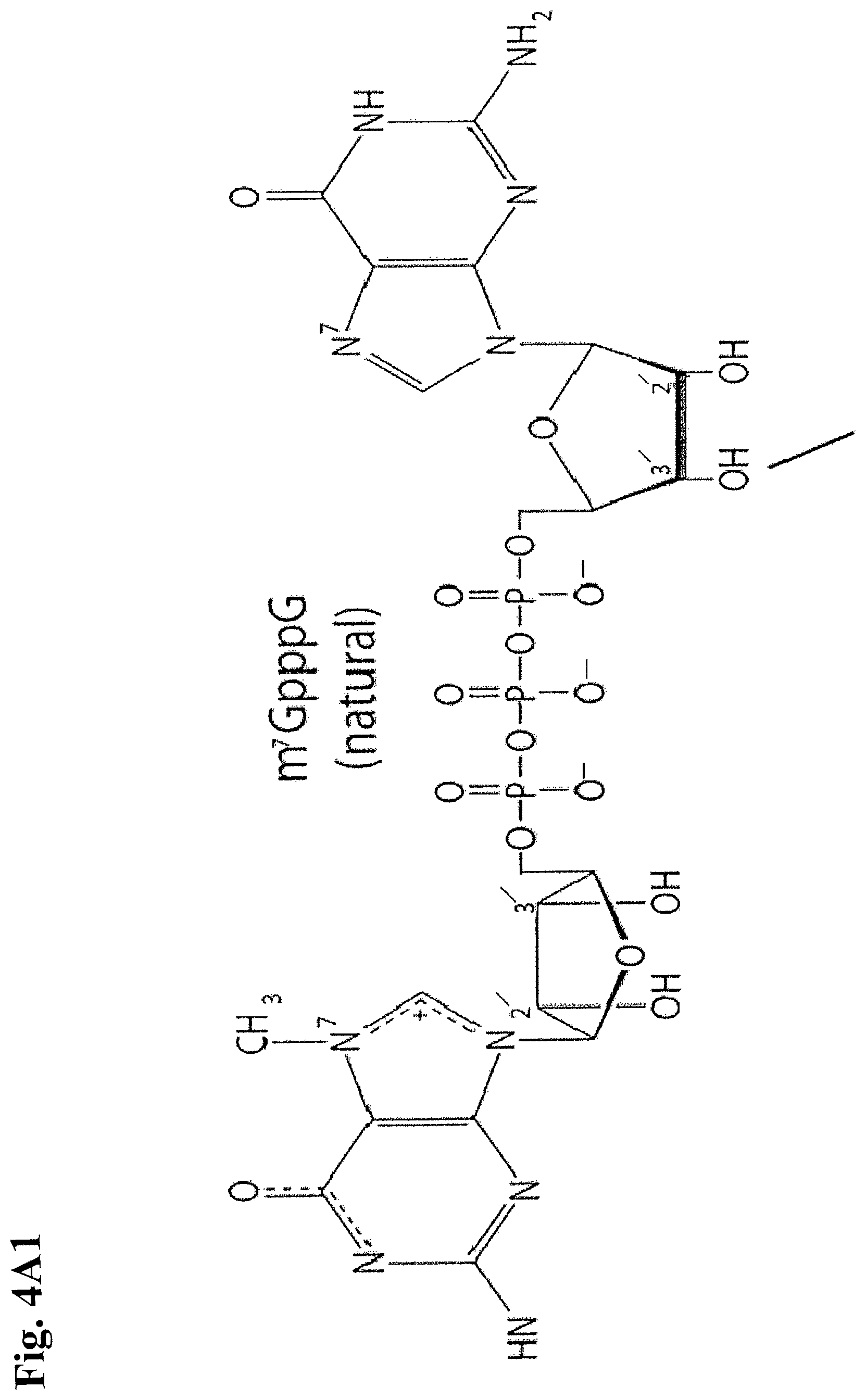 Patent US12378531 Figure 6 – Use of RNA for reprogramming somatic cells