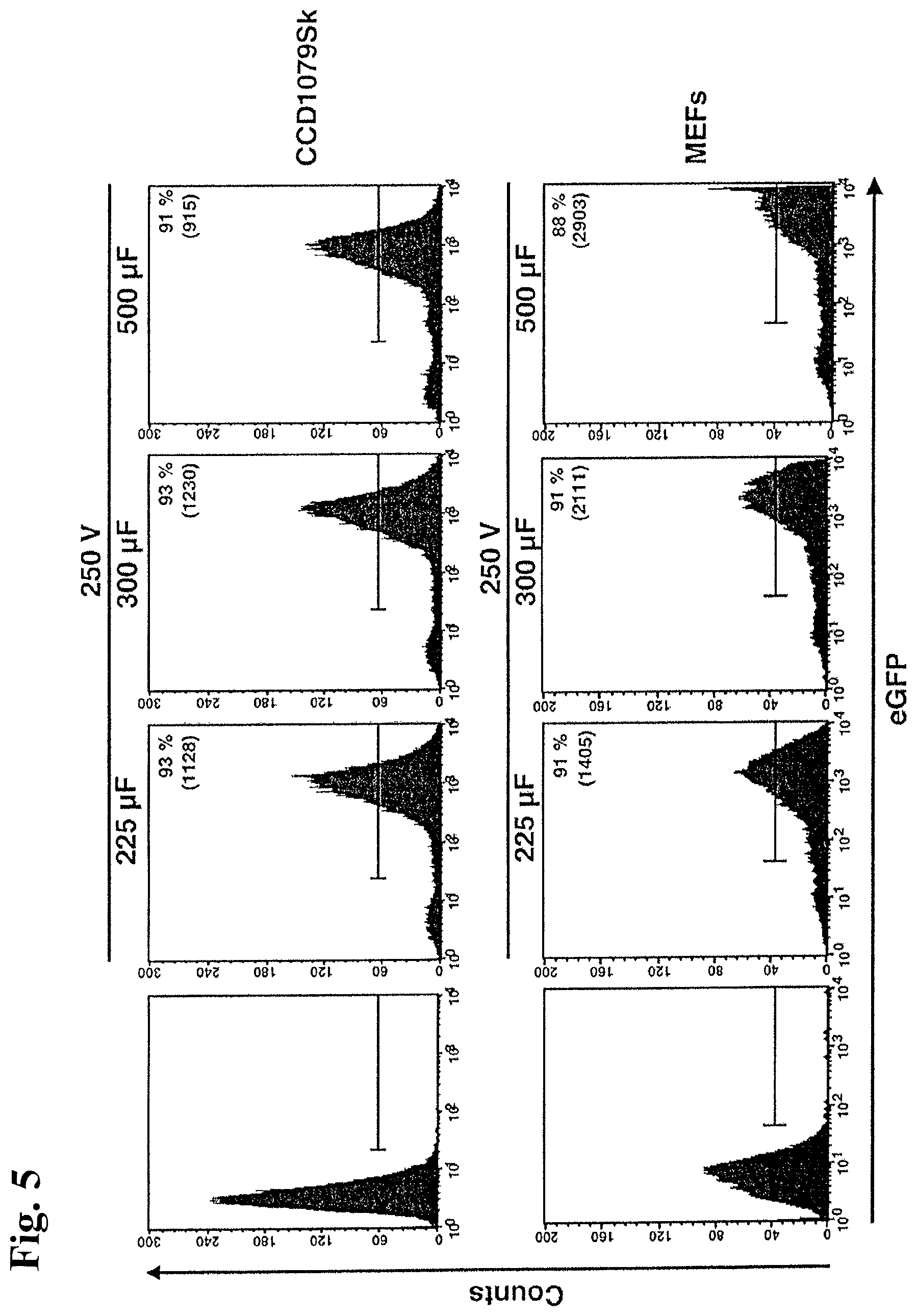 Patent US12378531 Figure 10 – Use of RNA for reprogramming somatic cells
