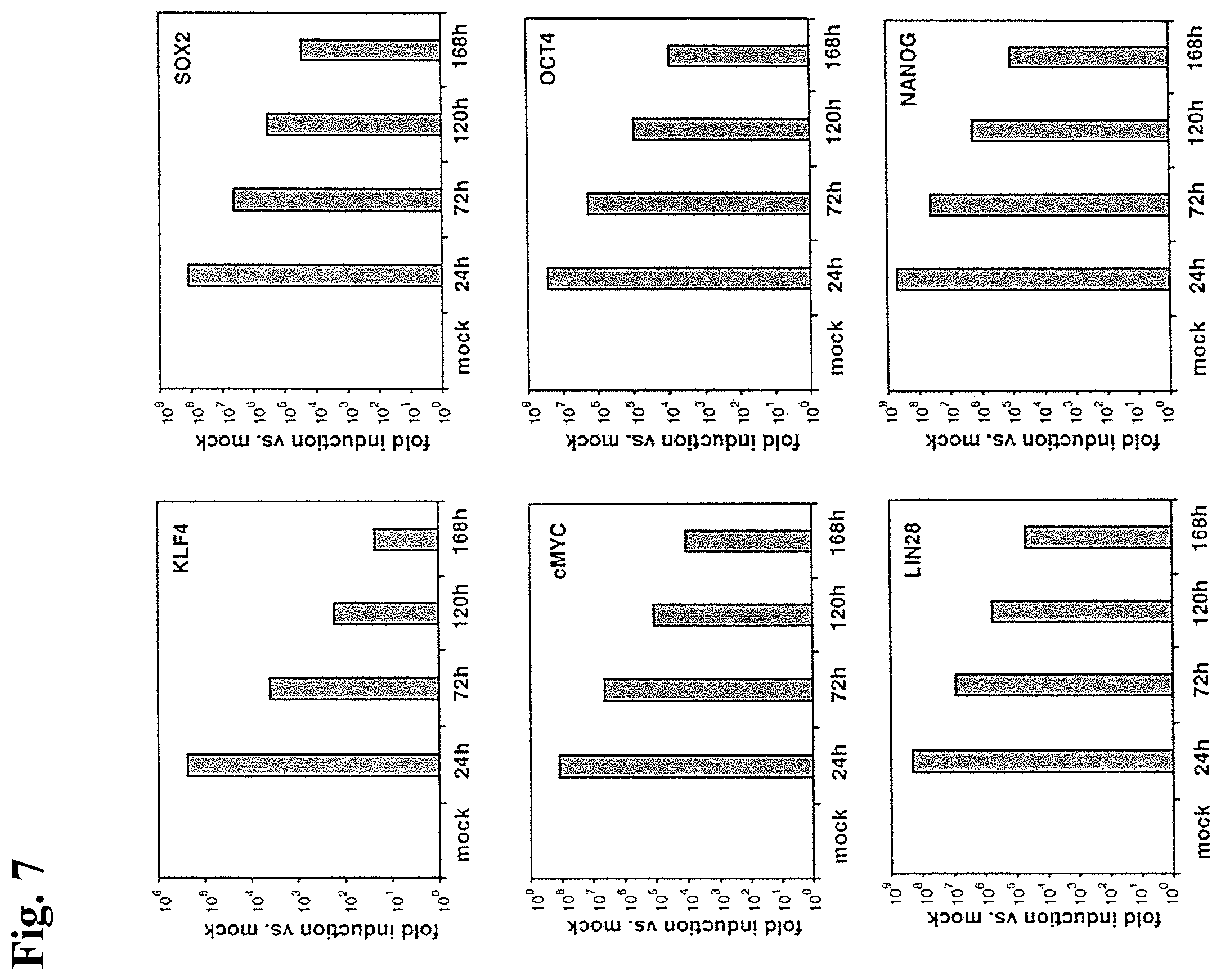 Patent US12378531 Figure 12 – Use of RNA for reprogramming somatic cells
