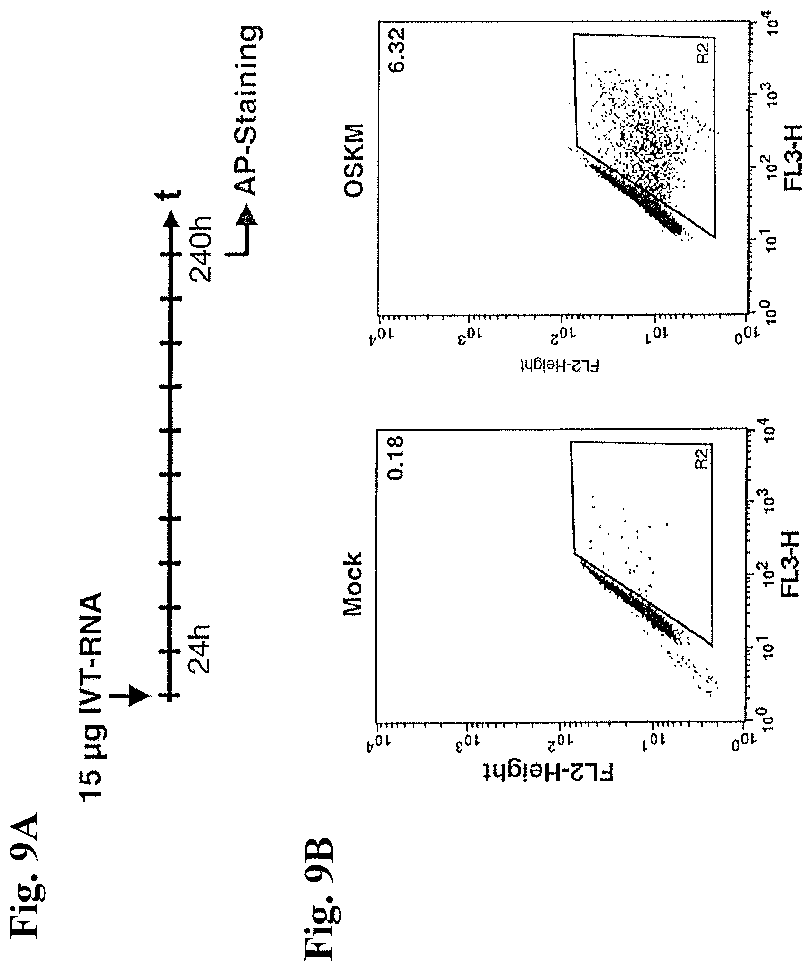 Patent US12378531 Figure 14 – Use of RNA for reprogramming somatic cells