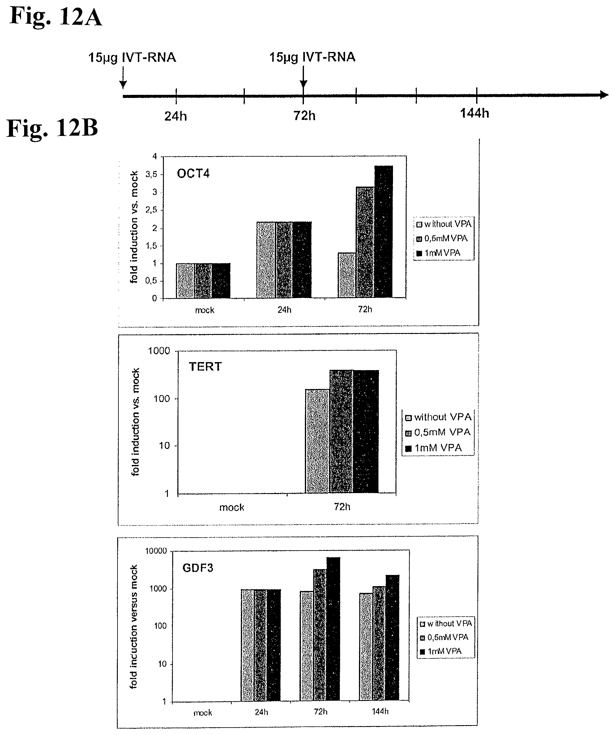 Patent US12378531 Figure 17 – Use of RNA for reprogramming somatic cells