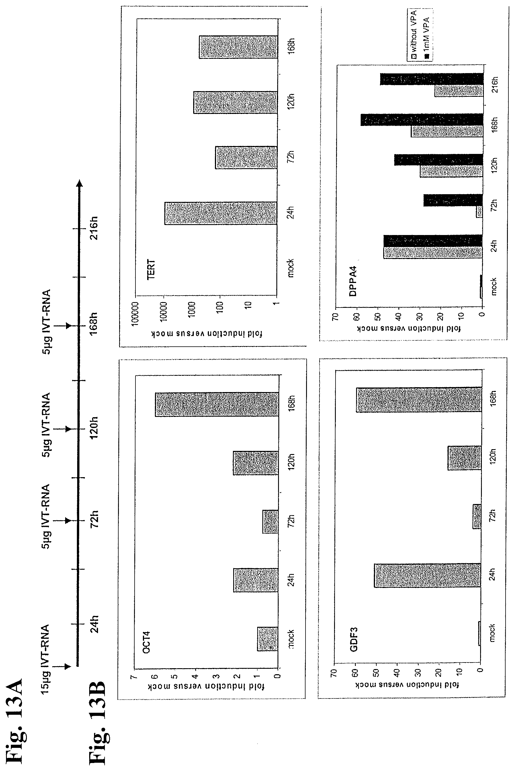 Patent US12378531 Figure 18 – Use of RNA for reprogramming somatic cells