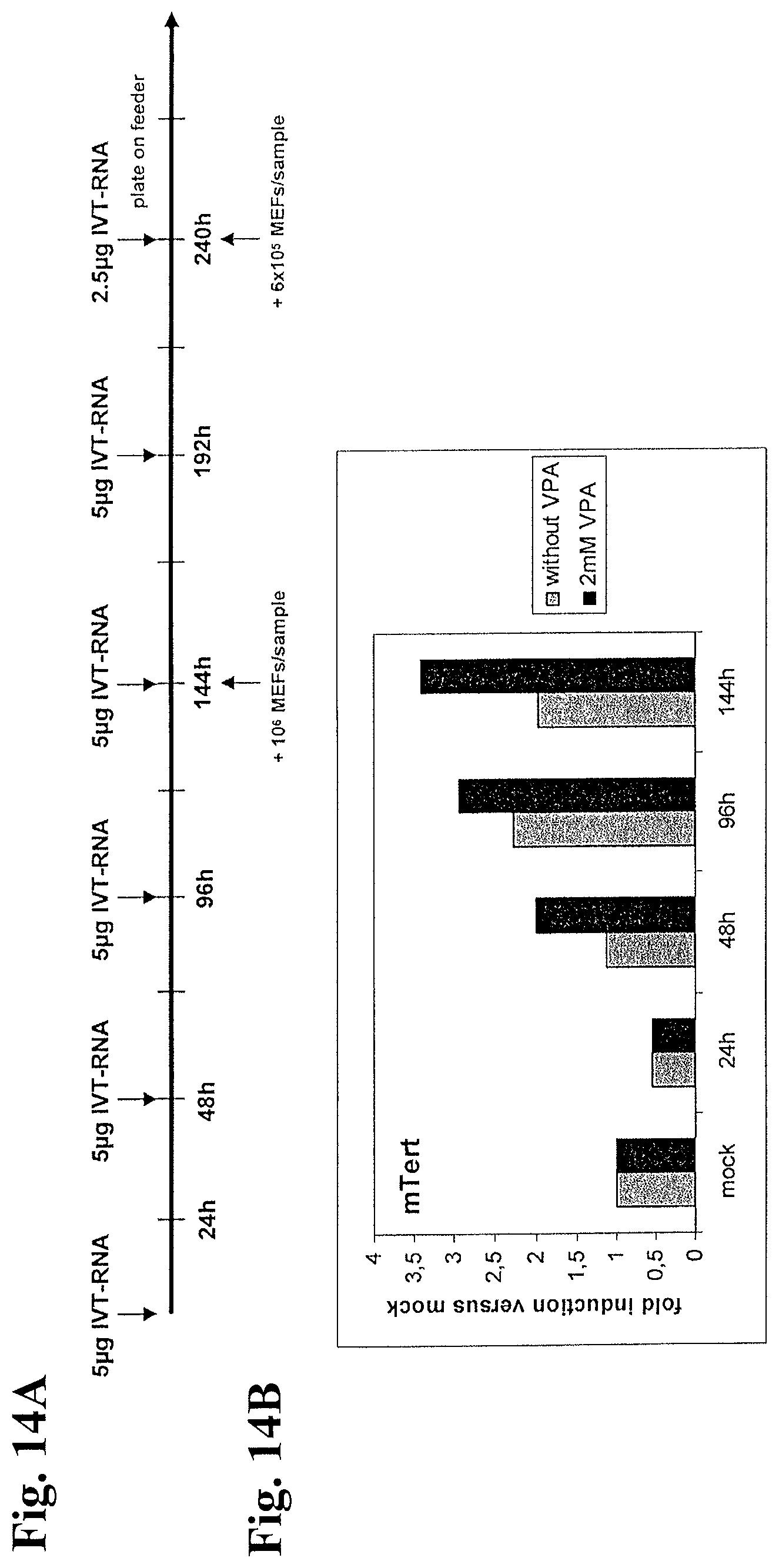 Patent US12378531 Figure 19 – Use of RNA for reprogramming somatic cells