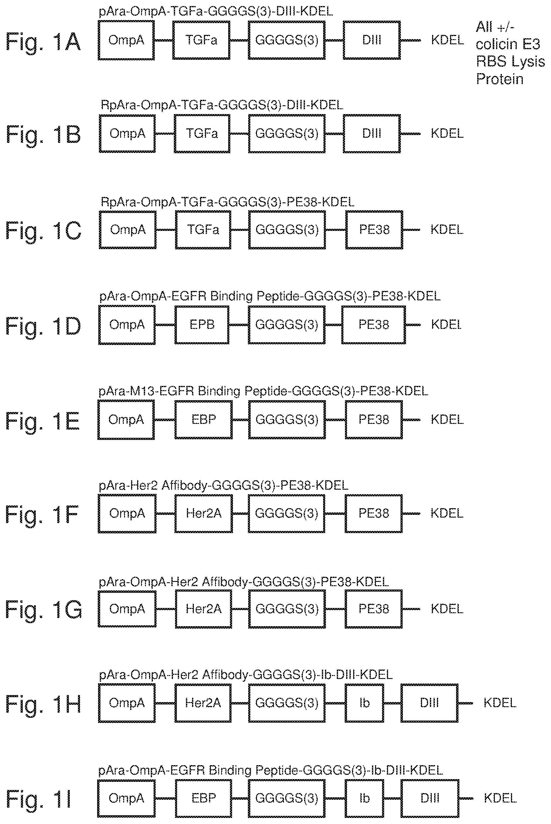 Patent US12378536 Figure 1 – Chimeric protein toxins for expression by therapeutic bacteria