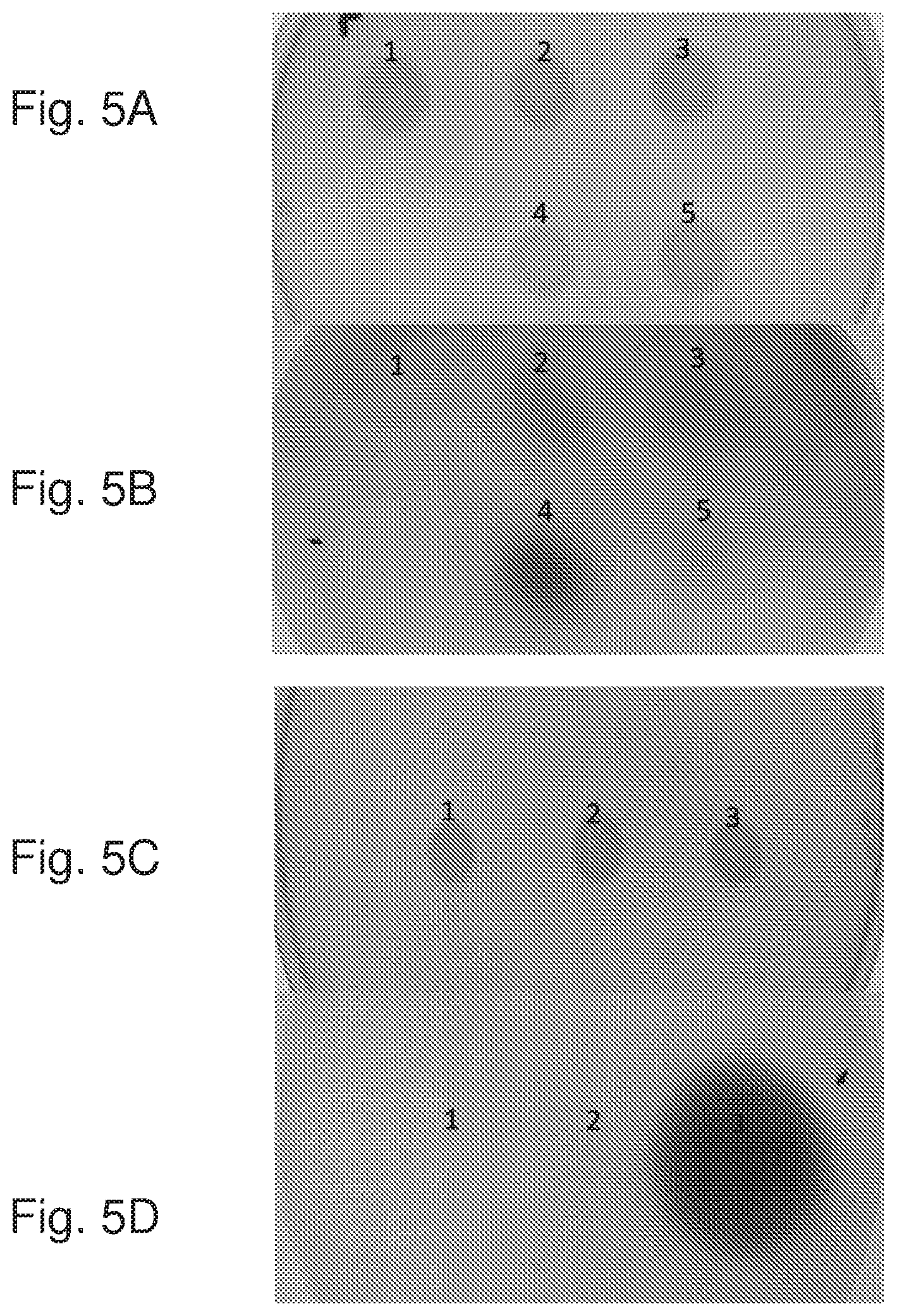 Patent US12378536 Figure 5 – Chimeric protein toxins for expression by therapeutic bacteria