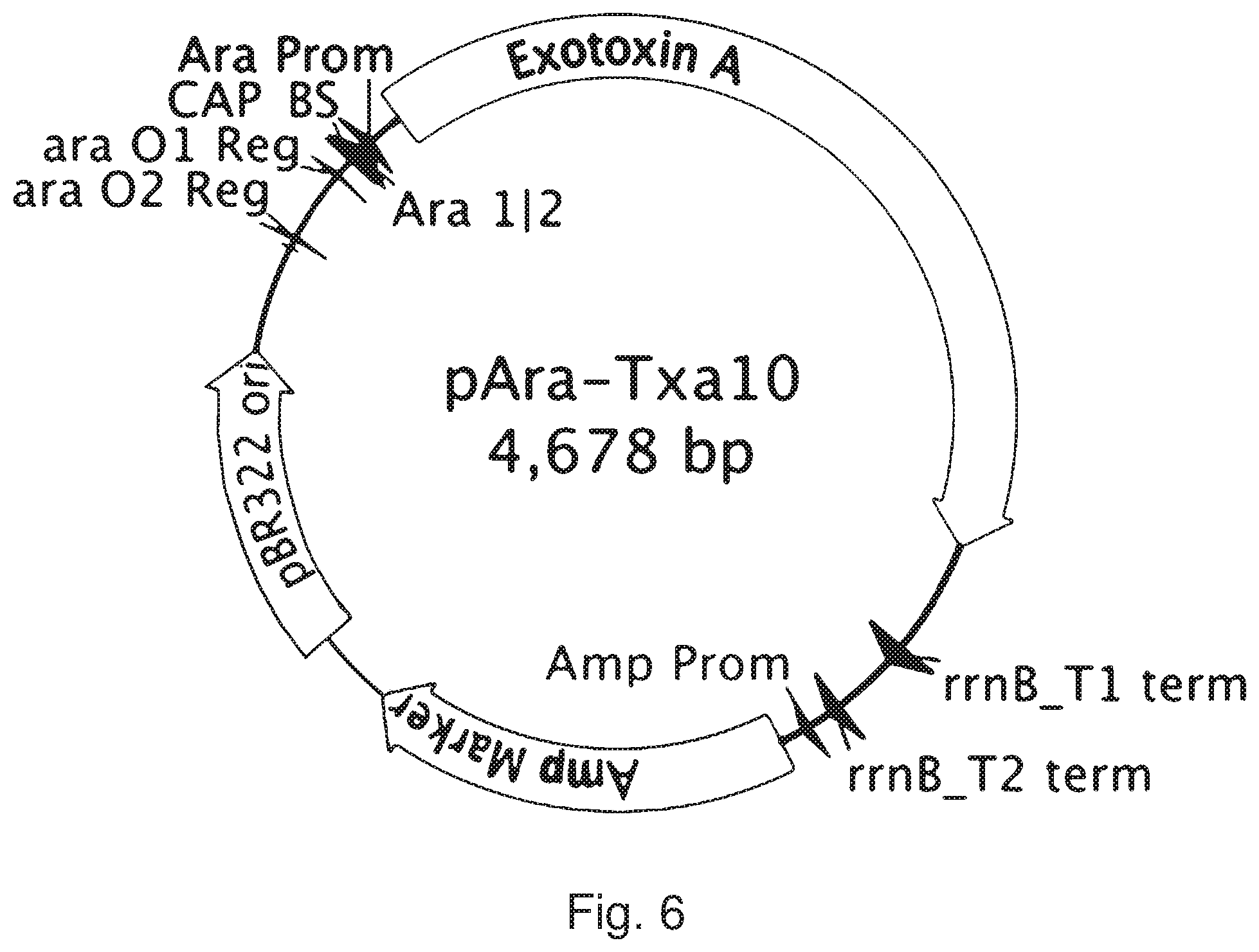 Patent US12378536 Figure 6 – Chimeric protein toxins for expression by therapeutic bacteria