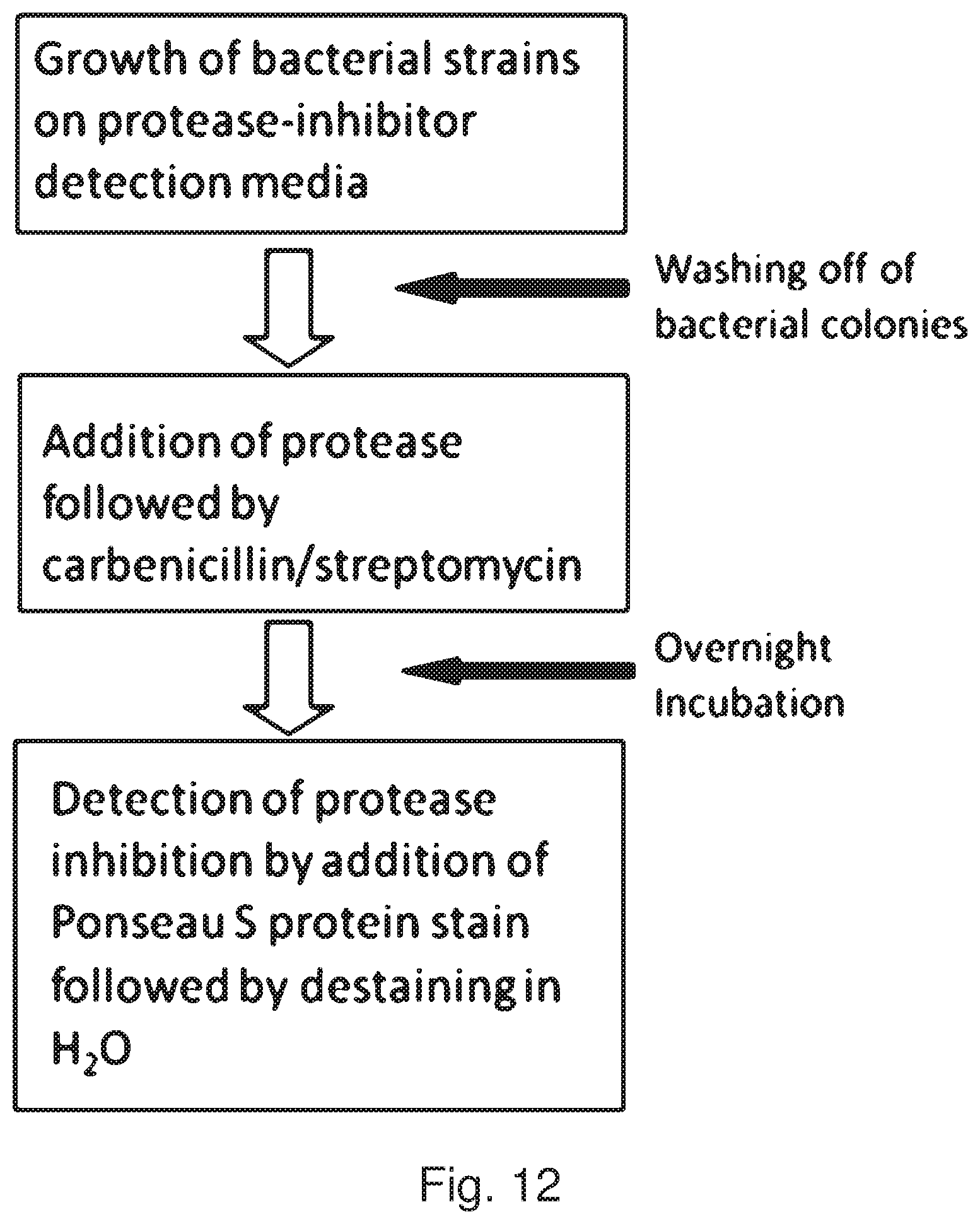 Patent US12378536 Figure 14 – Chimeric protein toxins for expression by therapeutic bacteria