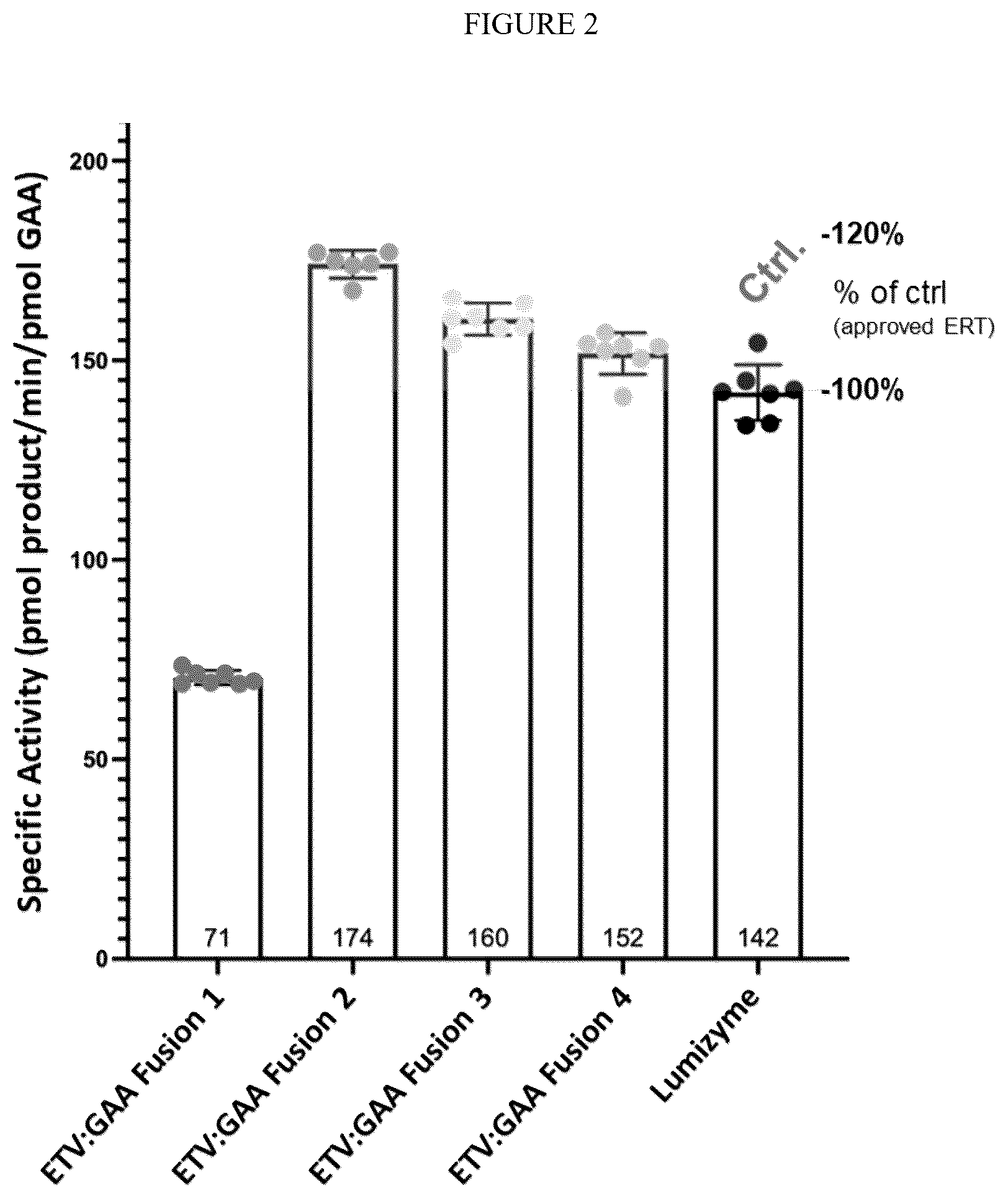 Patent US12378540 Figure 2 – Fusion proteins comprising acid alpha-glucosidase enzymes and methods thereof