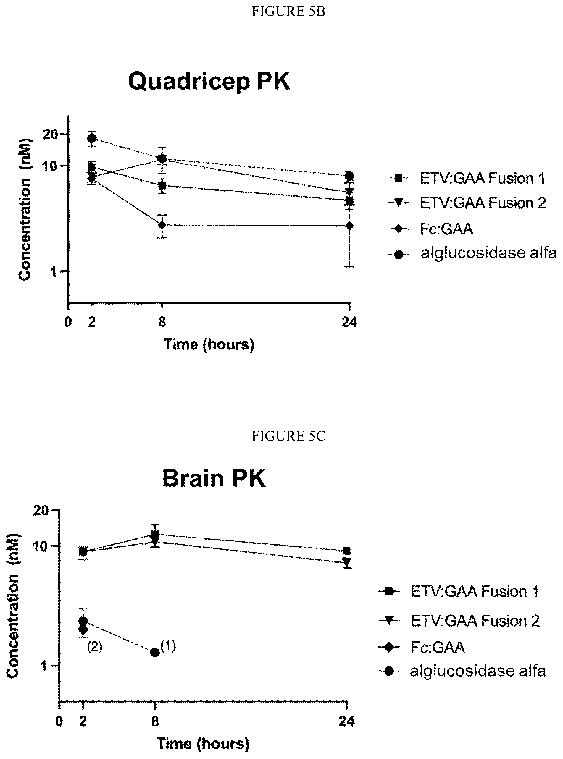 Patent US12378540 Figure 6 – Fusion proteins comprising acid alpha-glucosidase enzymes and methods thereof