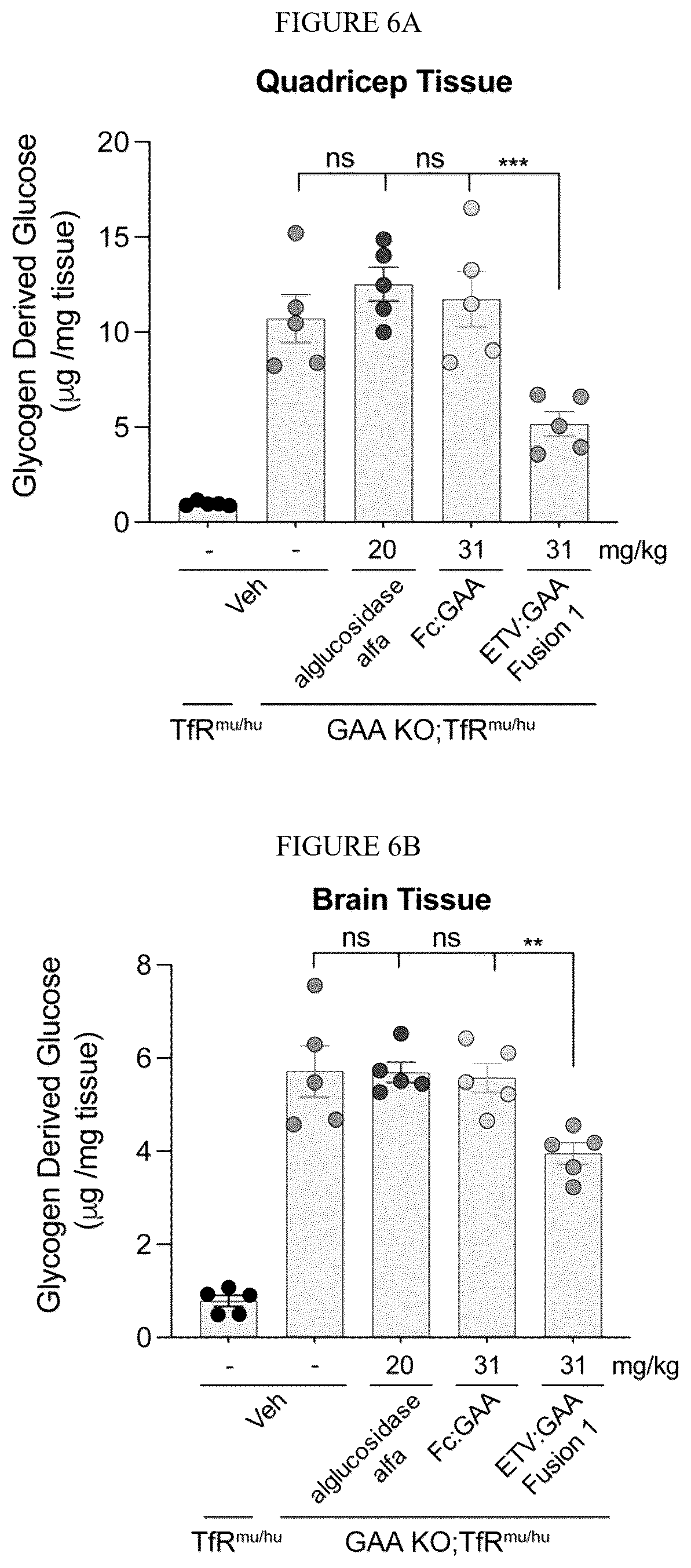 Patent US12378540 Figure 7 – Fusion proteins comprising acid alpha-glucosidase enzymes and methods thereof