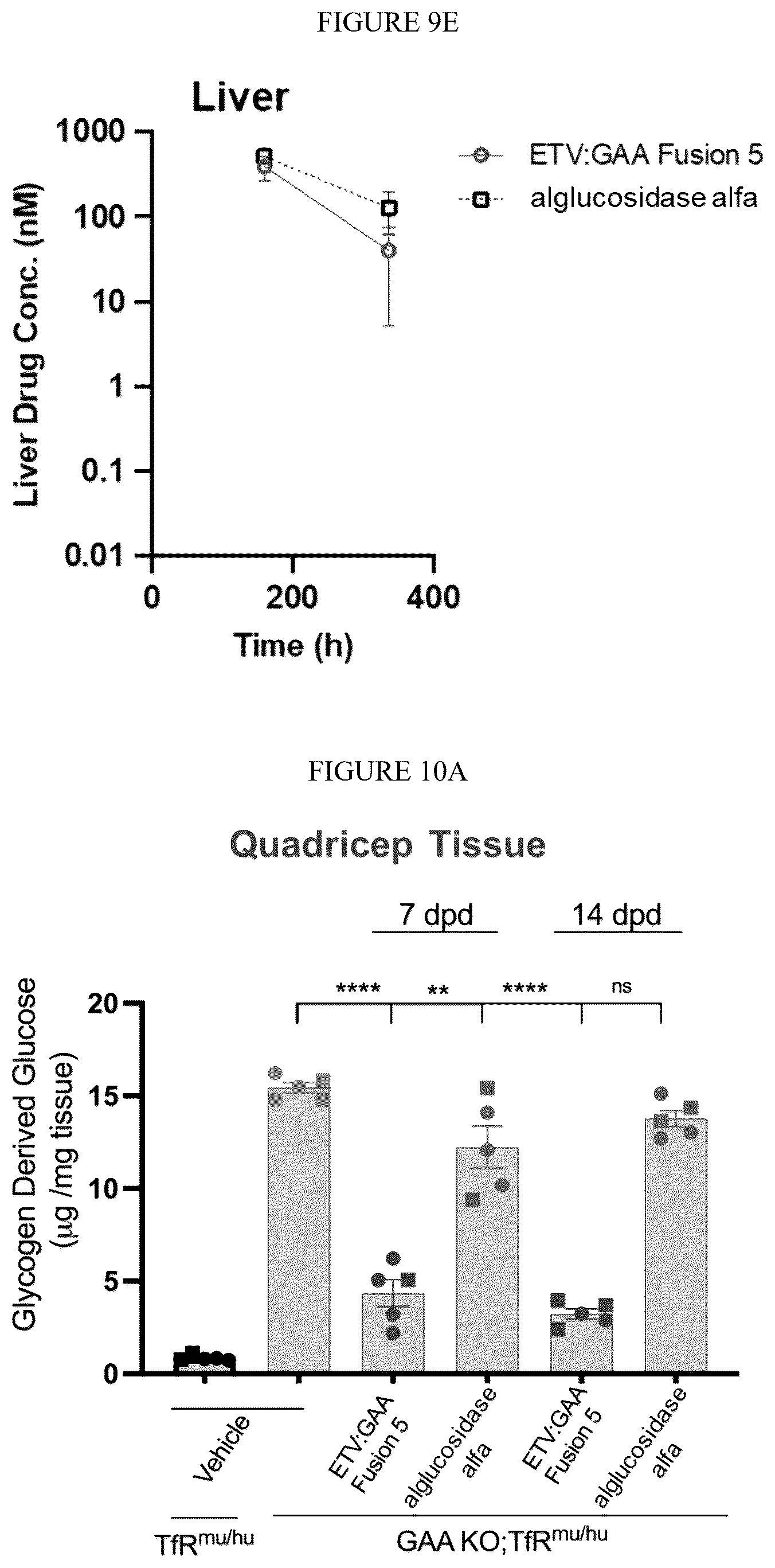 Patent US12378540 Figure 12 – Fusion proteins comprising acid alpha-glucosidase enzymes and methods thereof