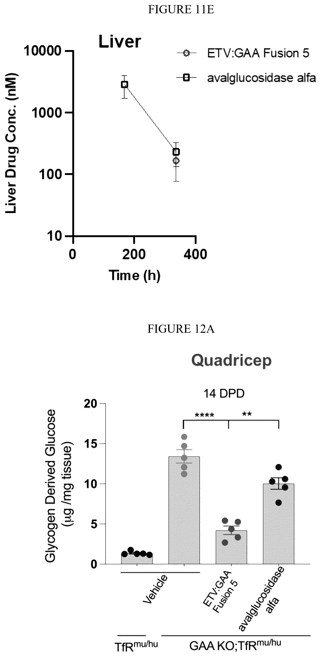 Patent US12378540 Figure 16 – Fusion proteins comprising acid alpha-glucosidase enzymes and methods thereof
