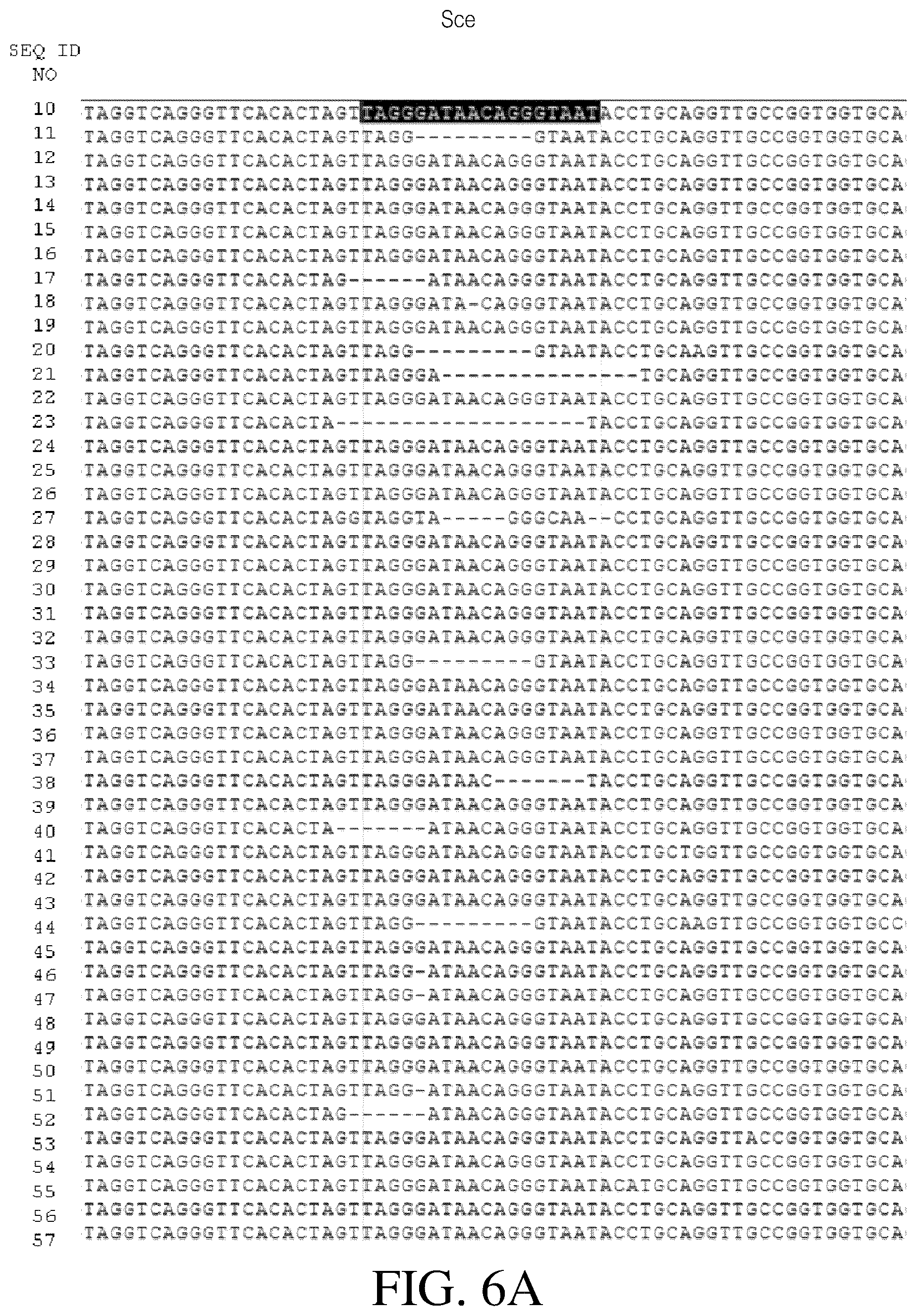 Patent US12378546 Figure 10 – Coupling endonucleases with end-processing enzymes drives high efficiency gene disruption