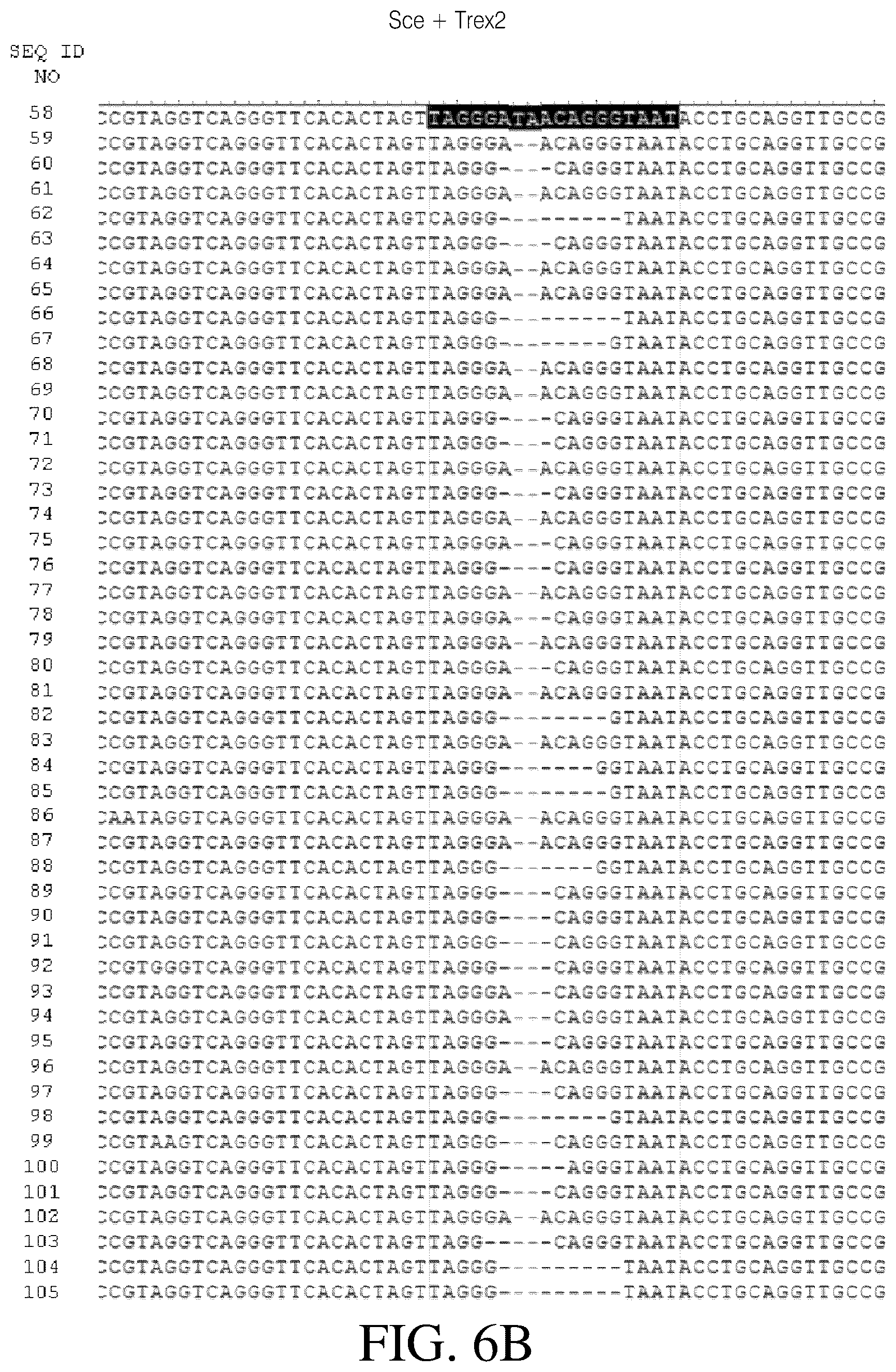 Patent US12378546 Figure 11 – Coupling endonucleases with end-processing enzymes drives high efficiency gene disruption