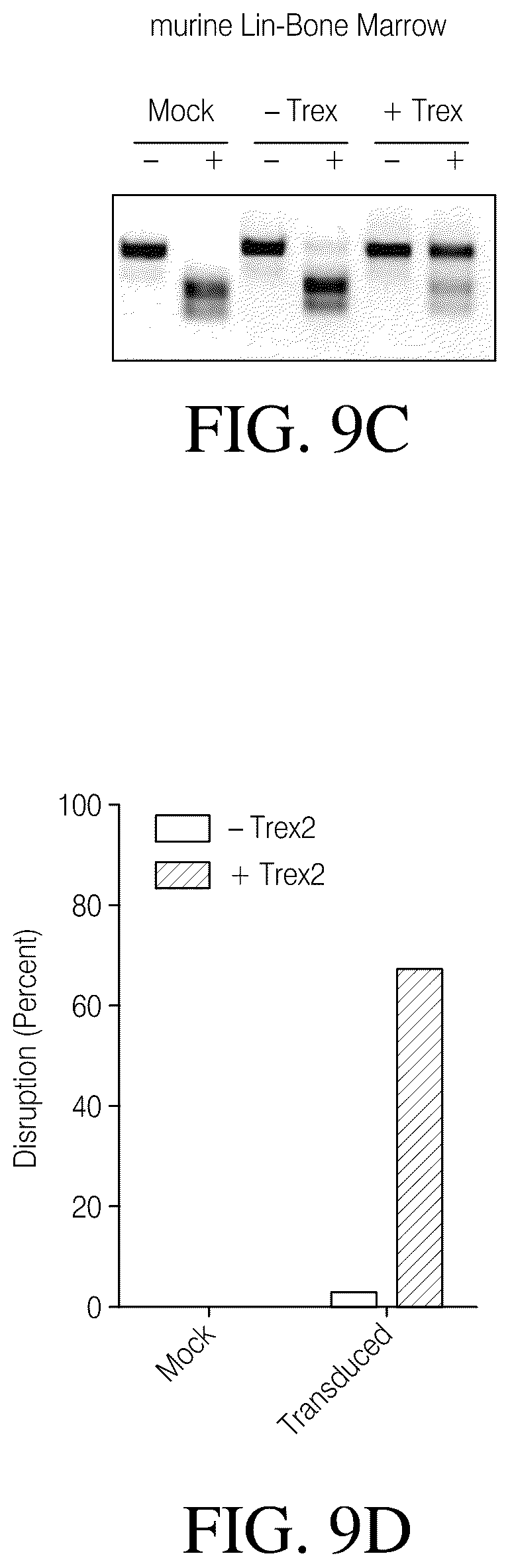 Patent US12378546 Figure 16 – Coupling endonucleases with end-processing enzymes drives high efficiency gene disruption