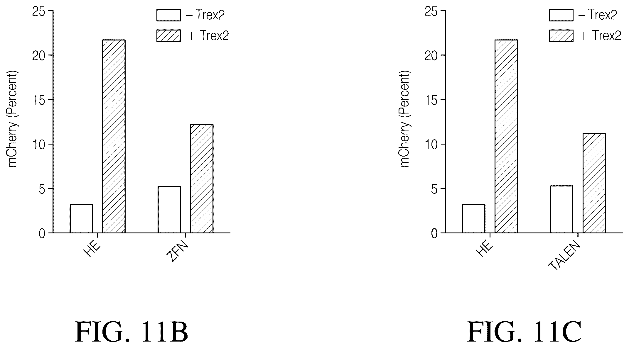 Patent US12378546 Figure 19 – Coupling endonucleases with end-processing enzymes drives high efficiency gene disruption