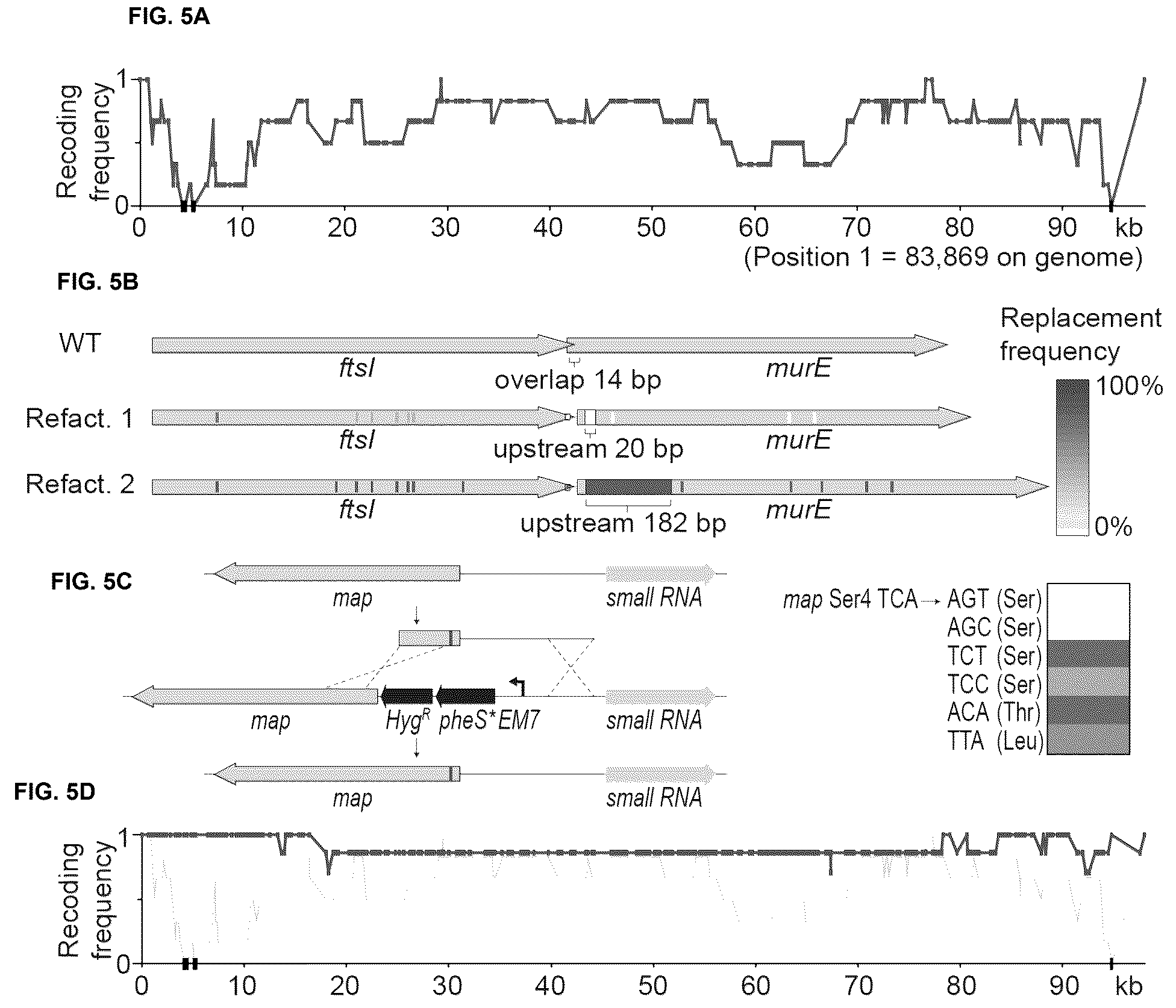 Patent US12378547 Figure 5 – Synthetic genome