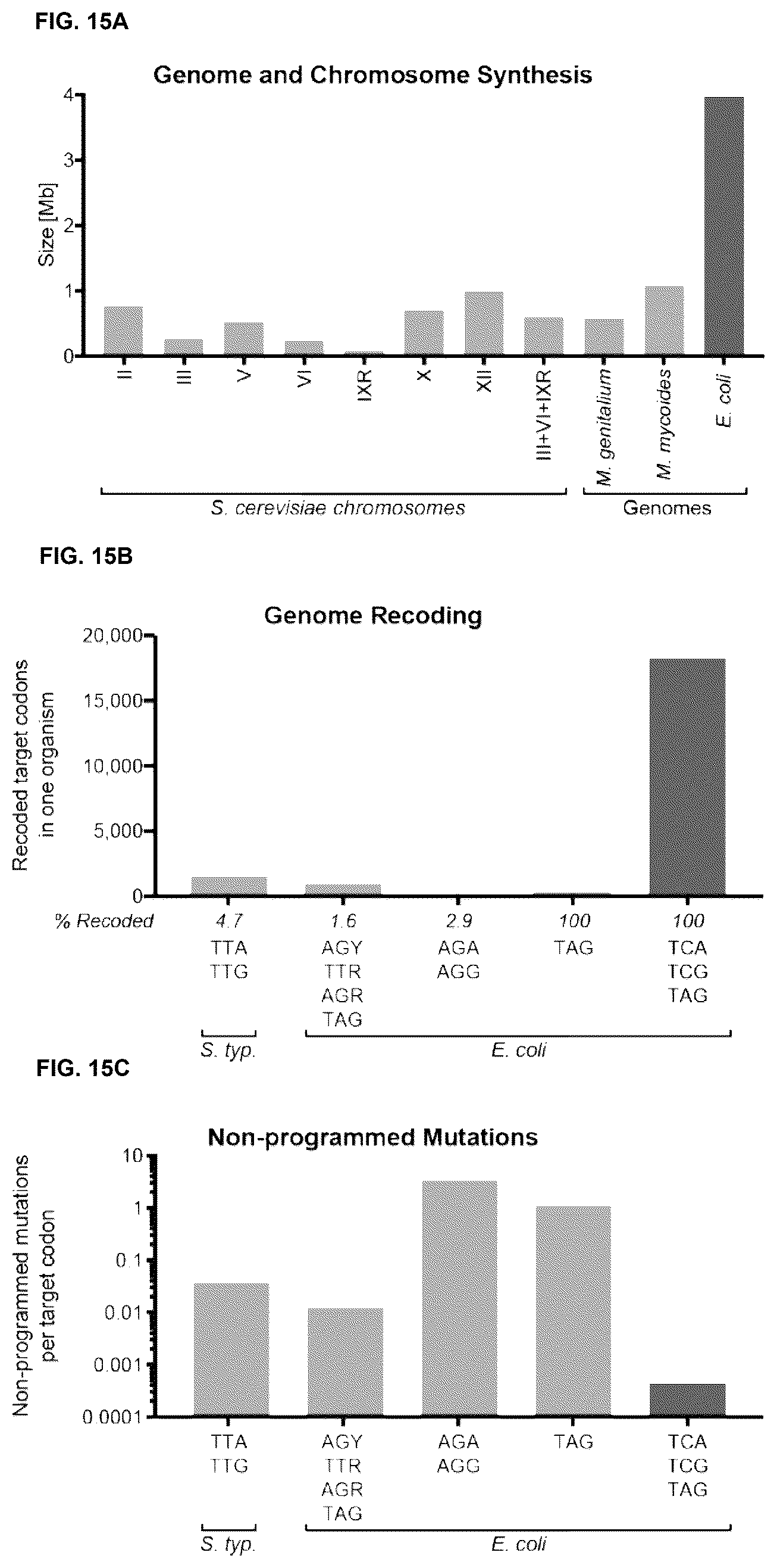 Patent US12378547 Figure 15 – Synthetic genome