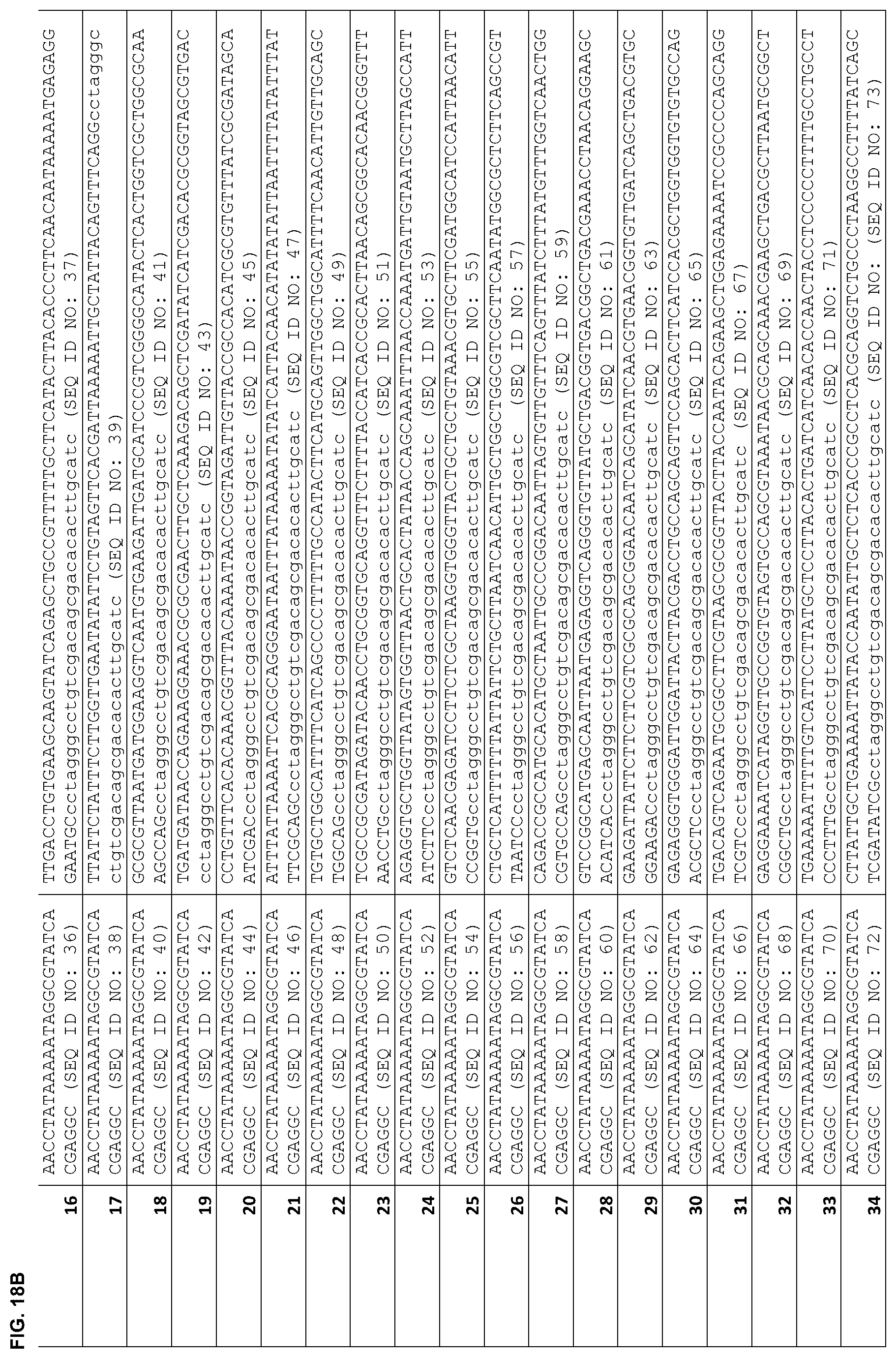 Patent US12378547 Figure 19 – Synthetic genome