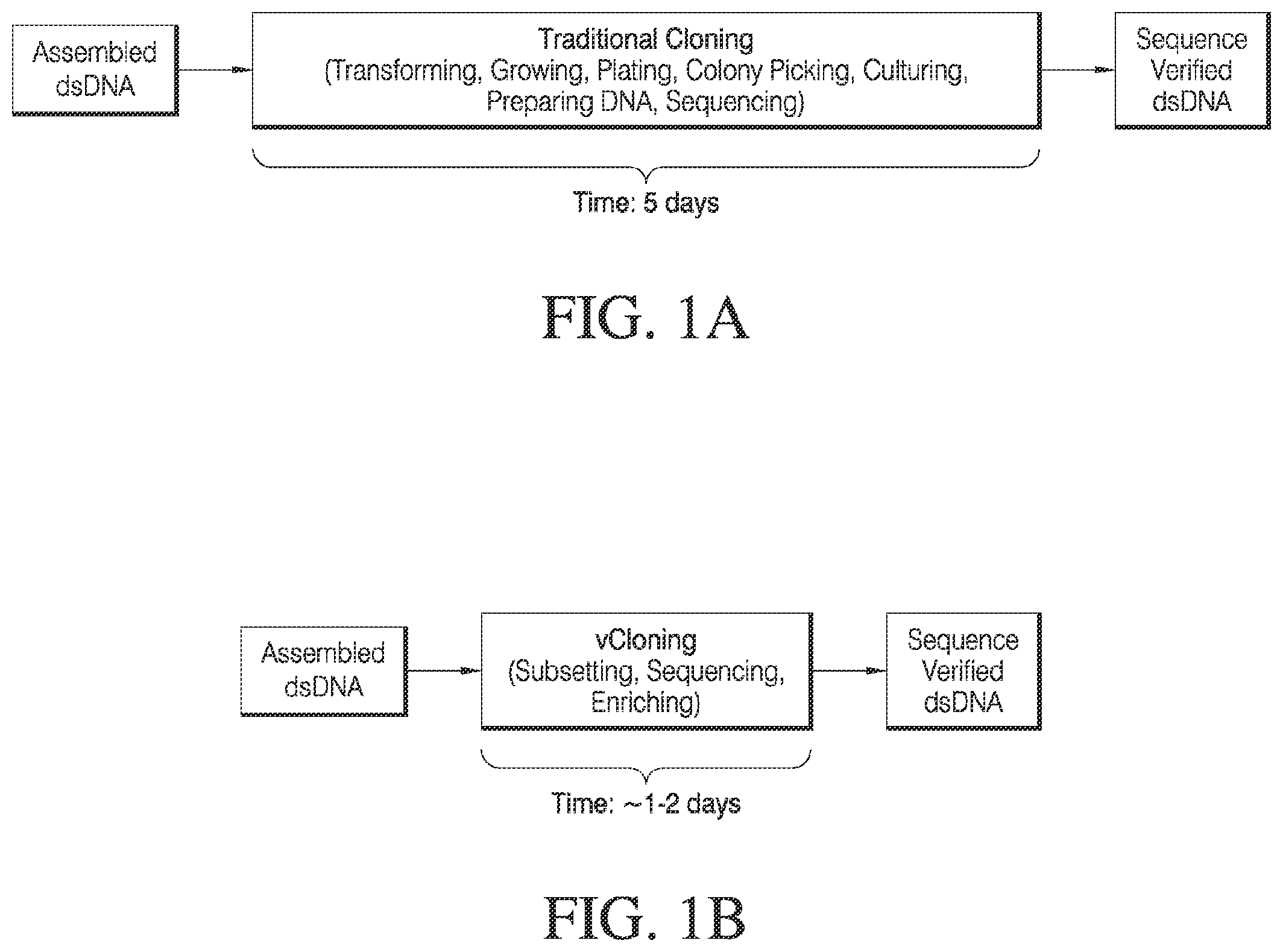Patent US12378548 Figure 1 – Methods and compositions for cell-free cloning