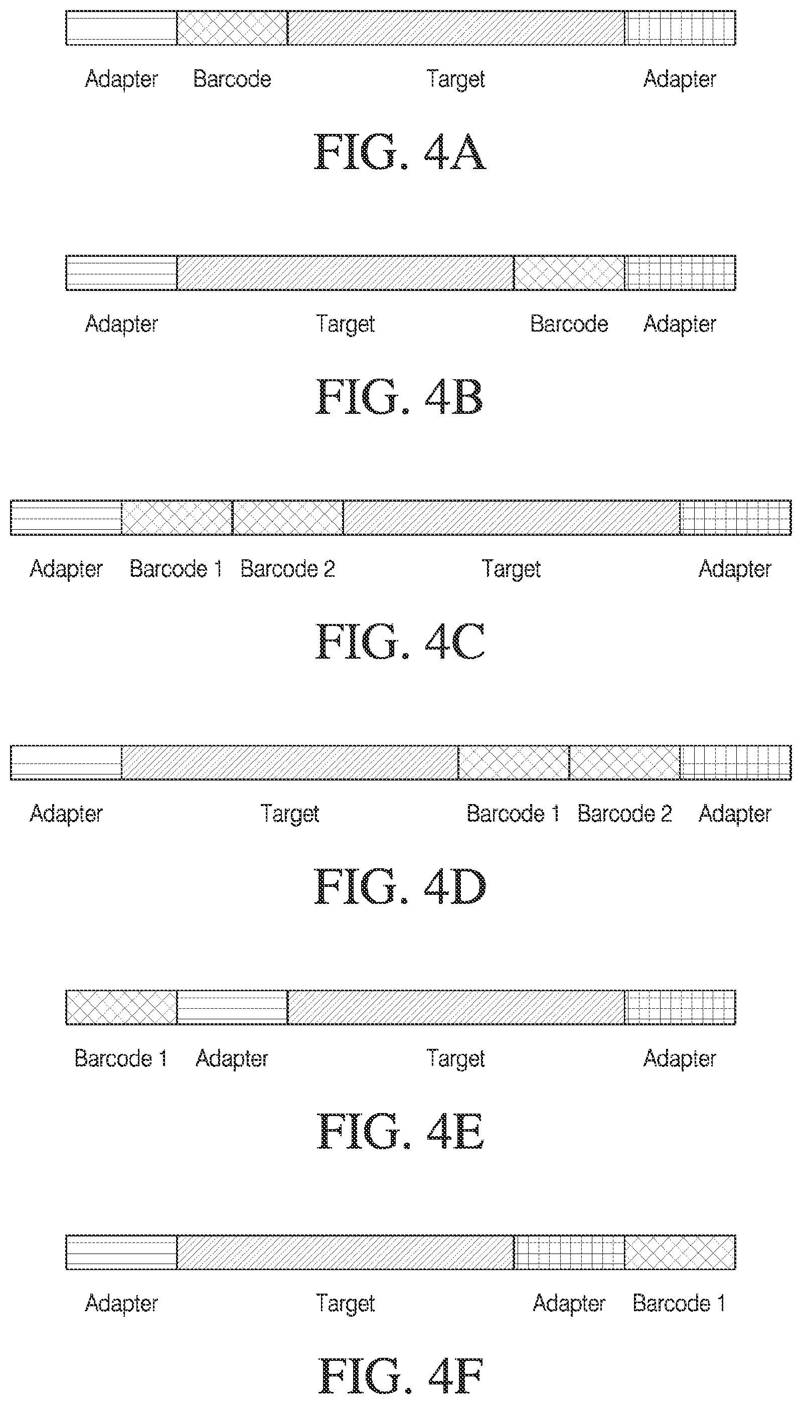 Patent US12378548 Figure 4 – Methods and compositions for cell-free cloning
