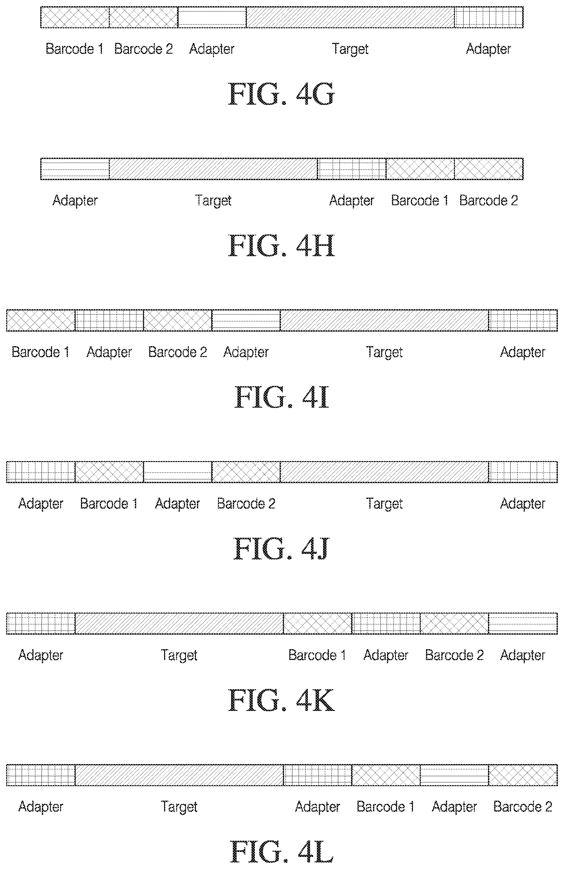 Patent US12378548 Figure 5 – Methods and compositions for cell-free cloning