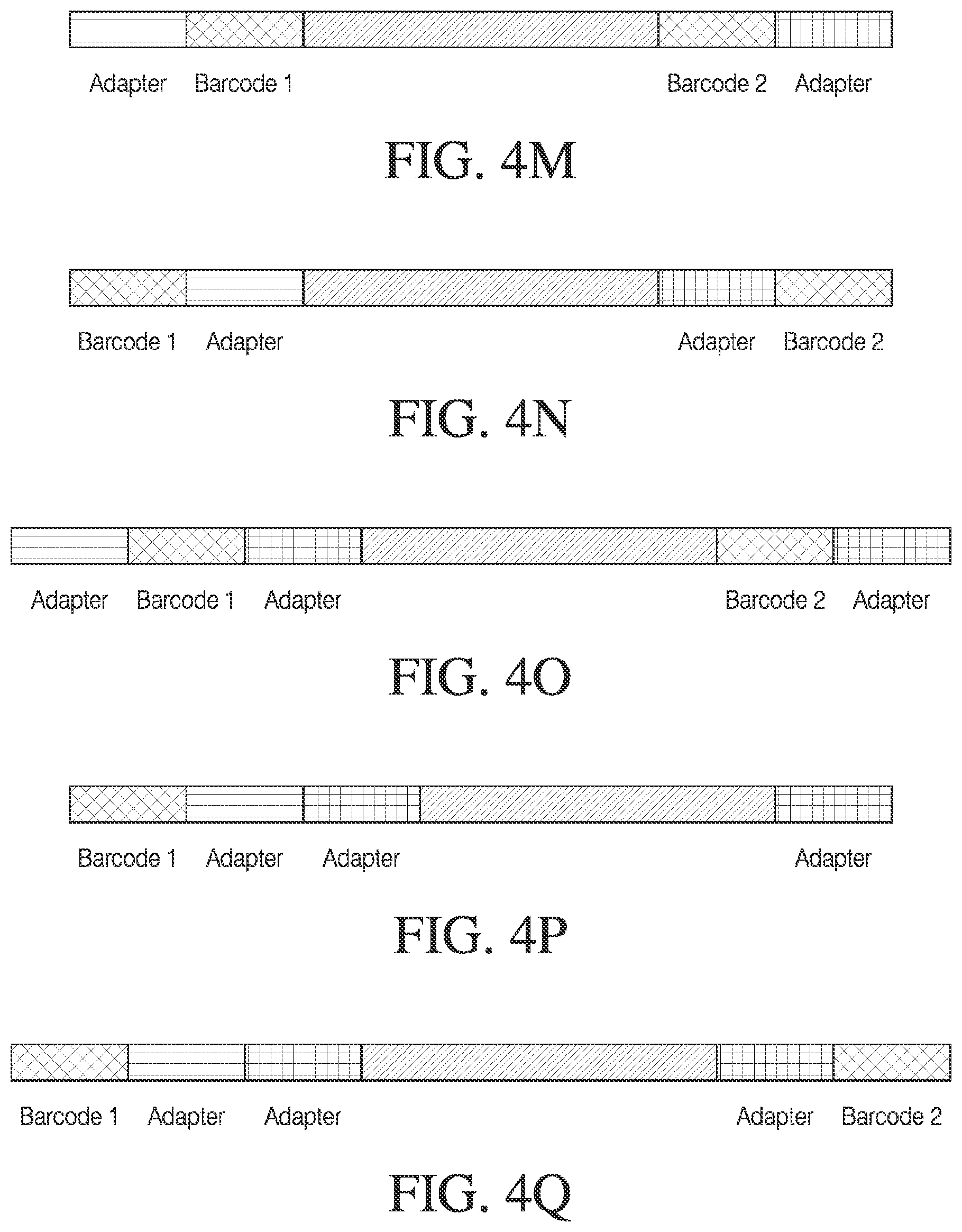 Patent US12378548 Figure 6 – Methods and compositions for cell-free cloning