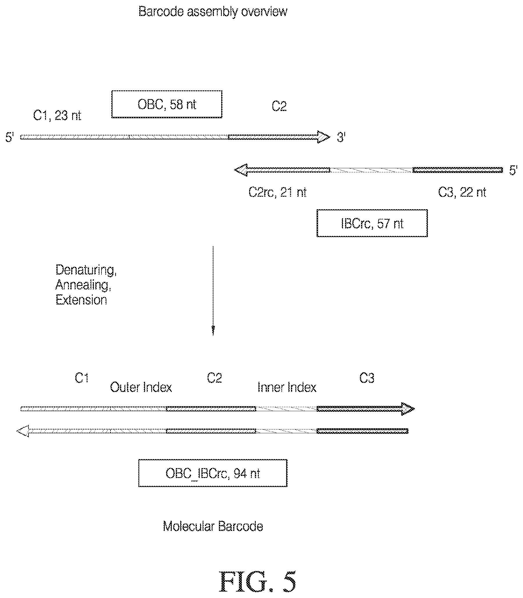 Patent US12378548 Figure 7 – Methods and compositions for cell-free cloning