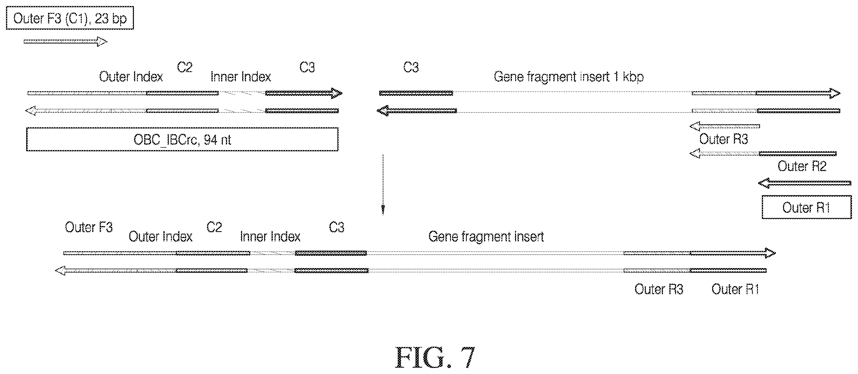 Patent US12378548 Figure 9 – Methods and compositions for cell-free cloning