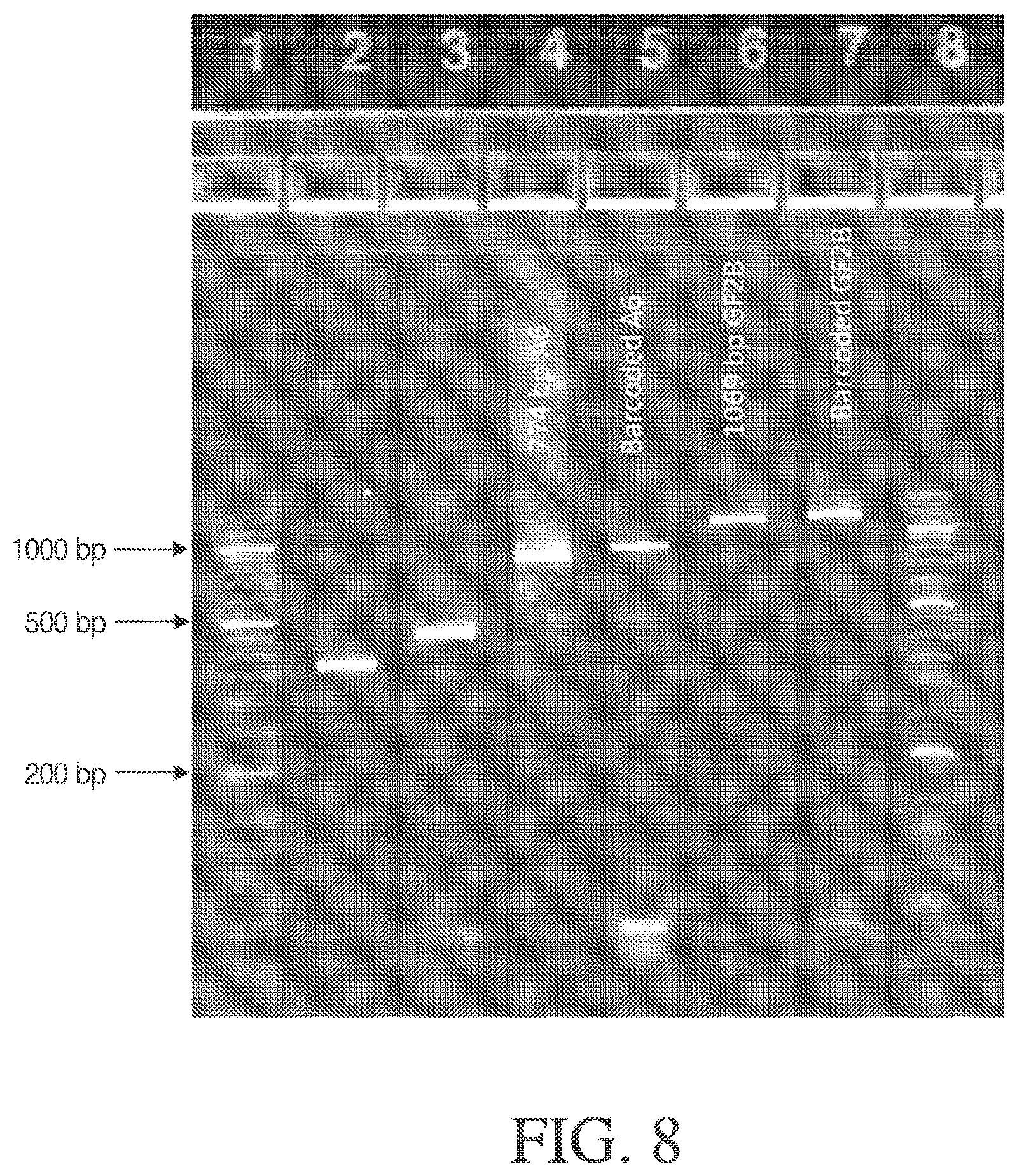 Patent US12378548 Figure 10 – Methods and compositions for cell-free cloning