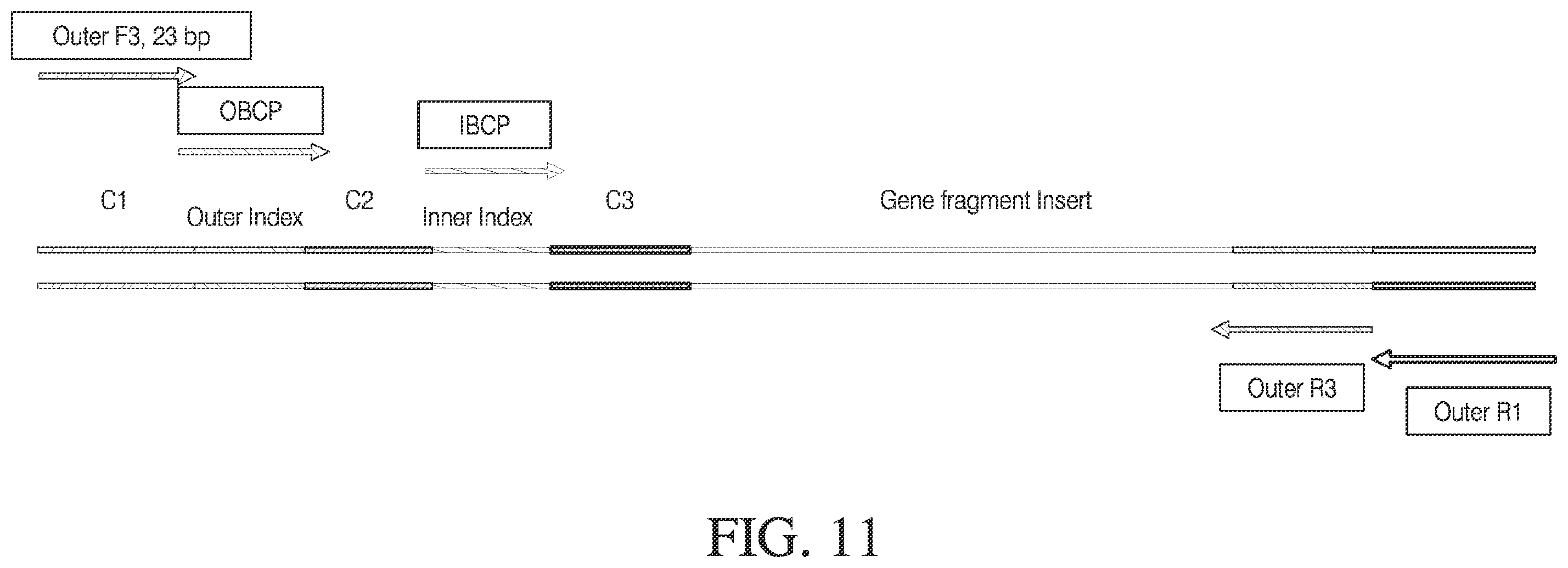 Patent US12378548 Figure 14 – Methods and compositions for cell-free cloning