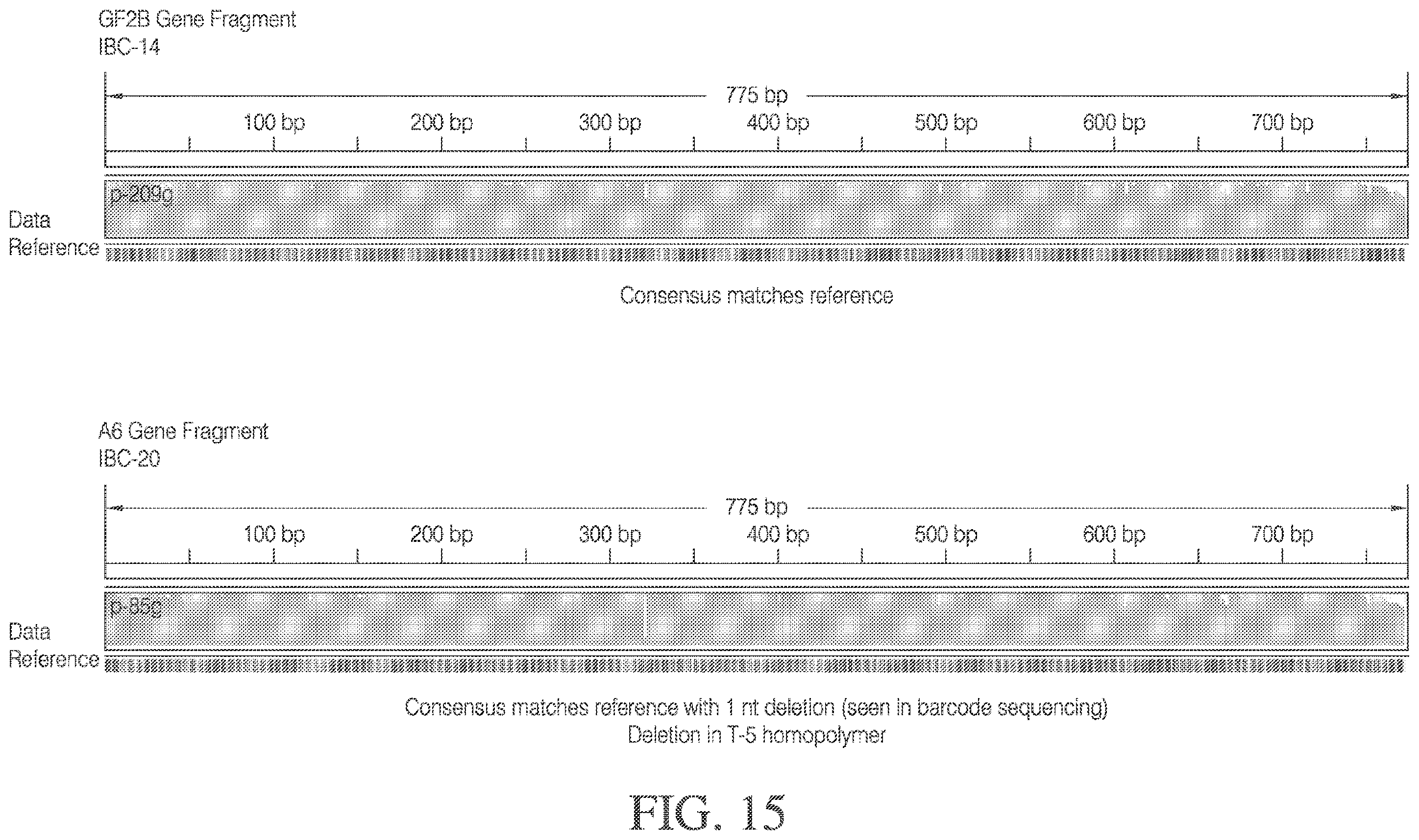 Patent US12378548 Figure 18 – Methods and compositions for cell-free cloning