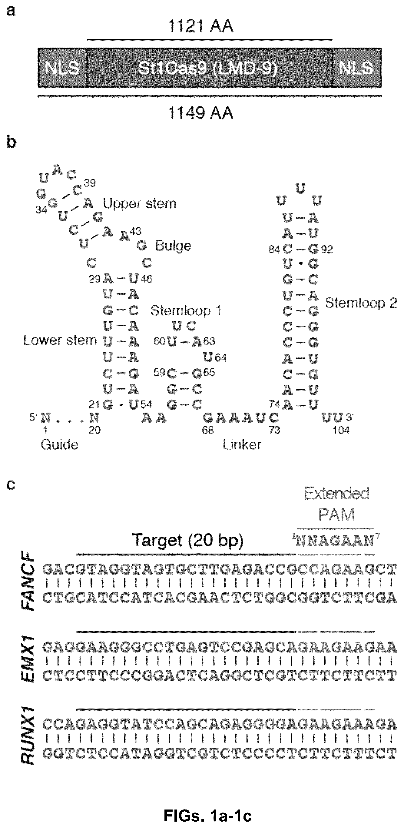 Patent US12378549 Figure 1 – CRISPR-cas9 system and uses thereof