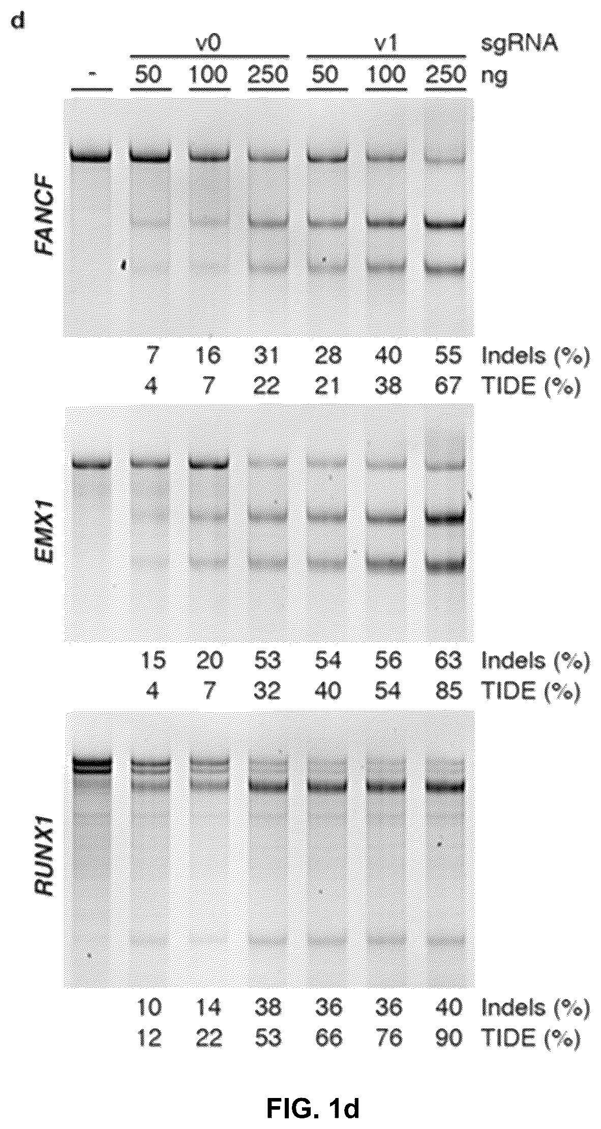 Patent US12378549 Figure 2 – CRISPR-cas9 system and uses thereof