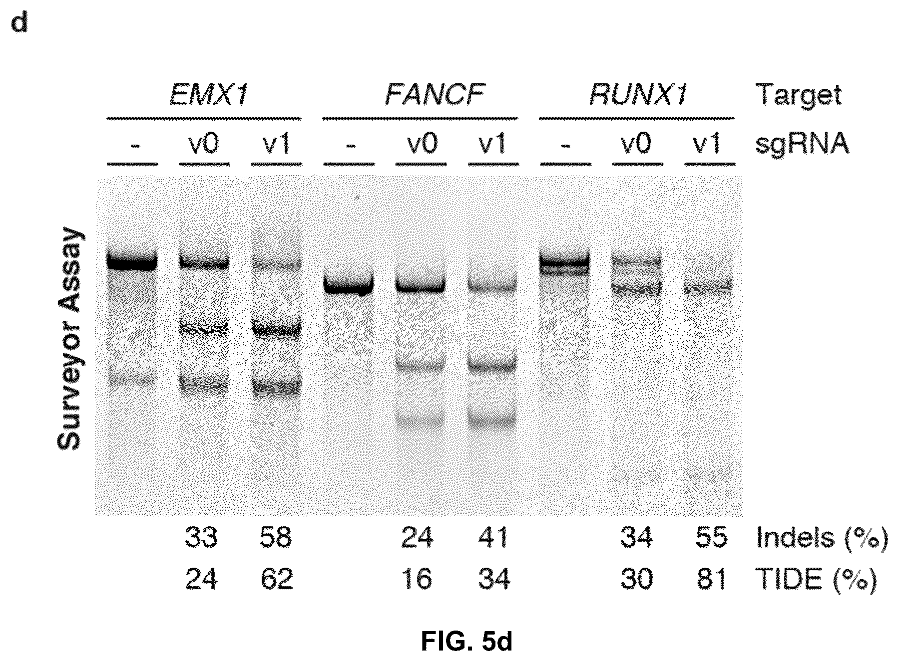 Patent US12378549 Figure 11 – CRISPR-cas9 system and uses thereof