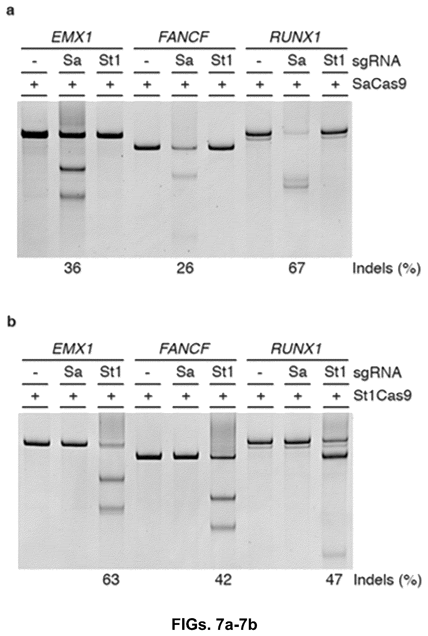 Patent US12378549 Figure 14 – CRISPR-cas9 system and uses thereof
