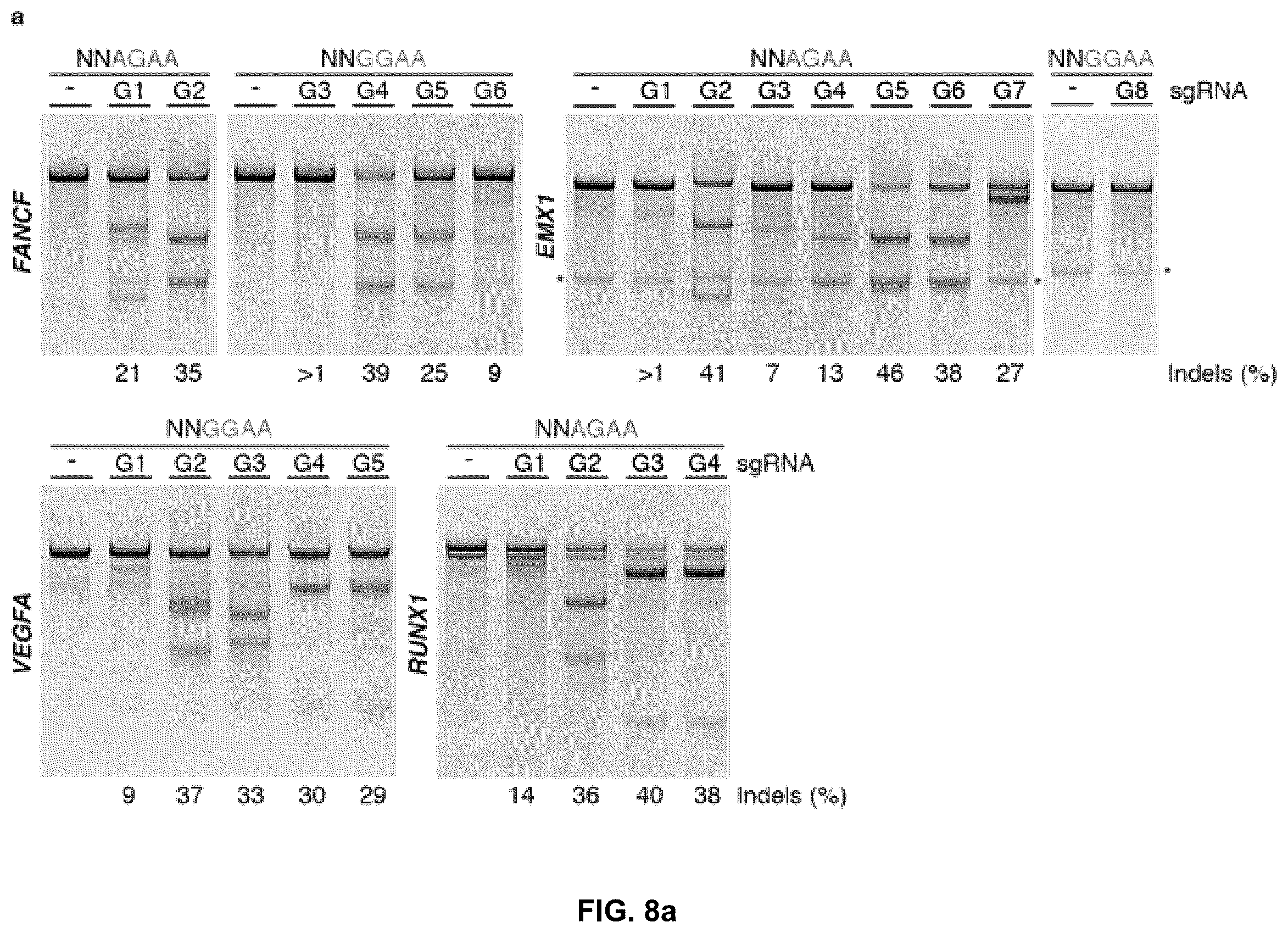 Patent US12378549 Figure 15 – CRISPR-cas9 system and uses thereof