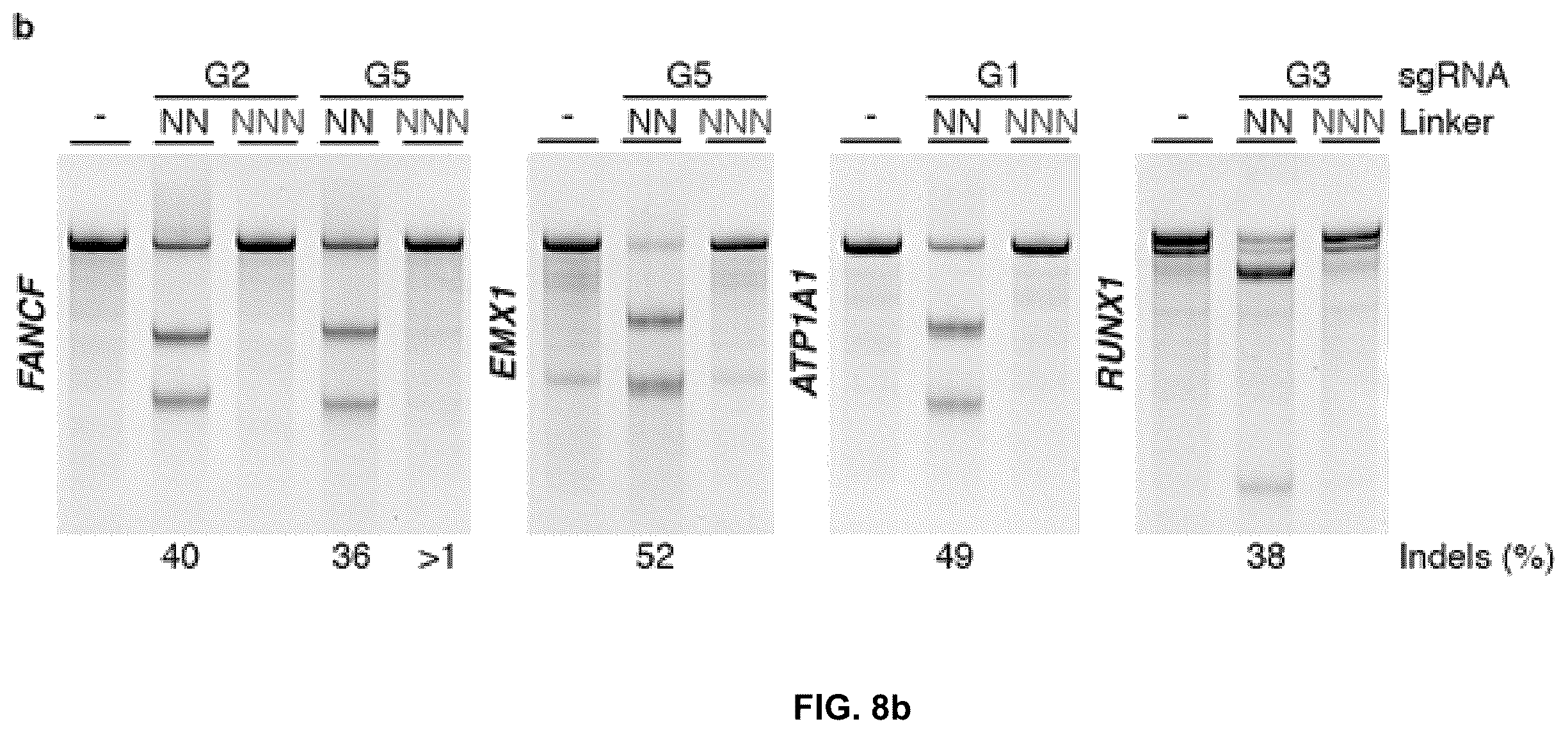 Patent US12378549 Figure 16 – CRISPR-cas9 system and uses thereof