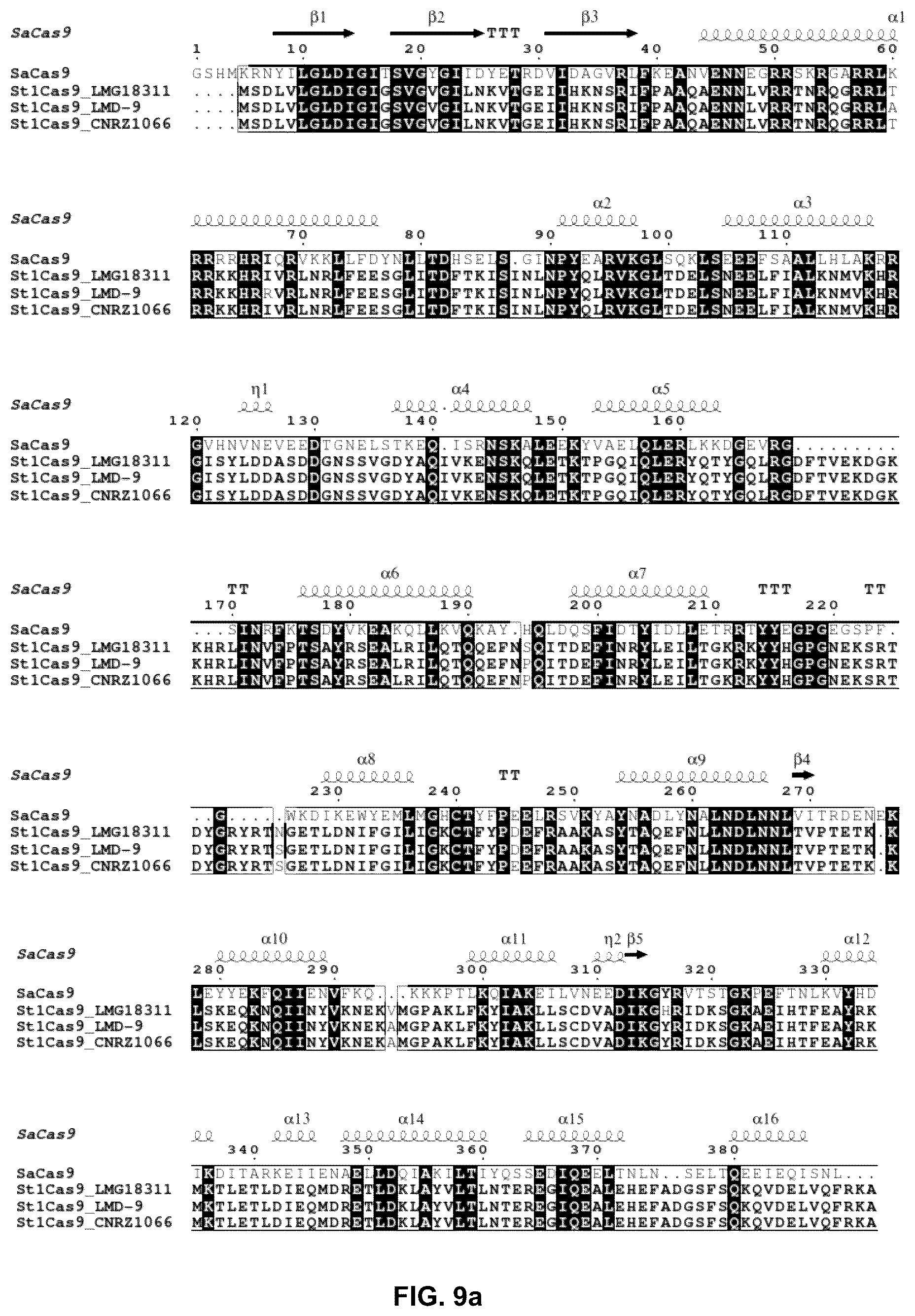 Patent US12378549 Figure 17 – CRISPR-cas9 system and uses thereof