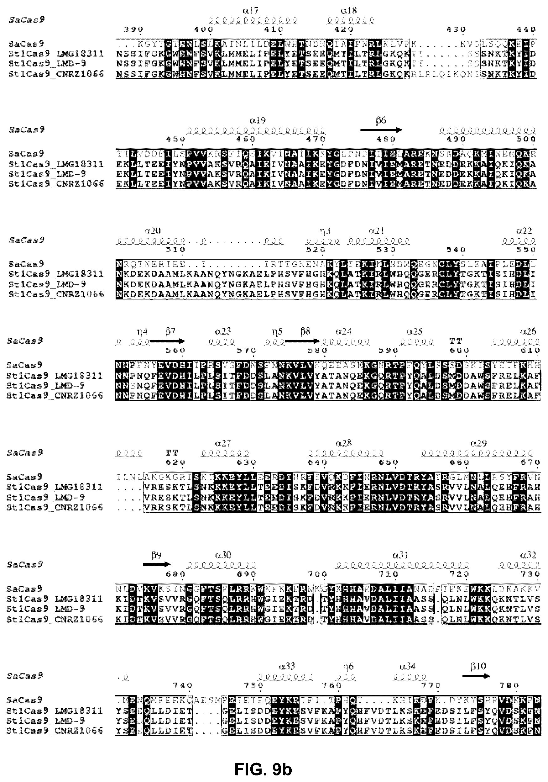 Patent US12378549 Figure 18 – CRISPR-cas9 system and uses thereof