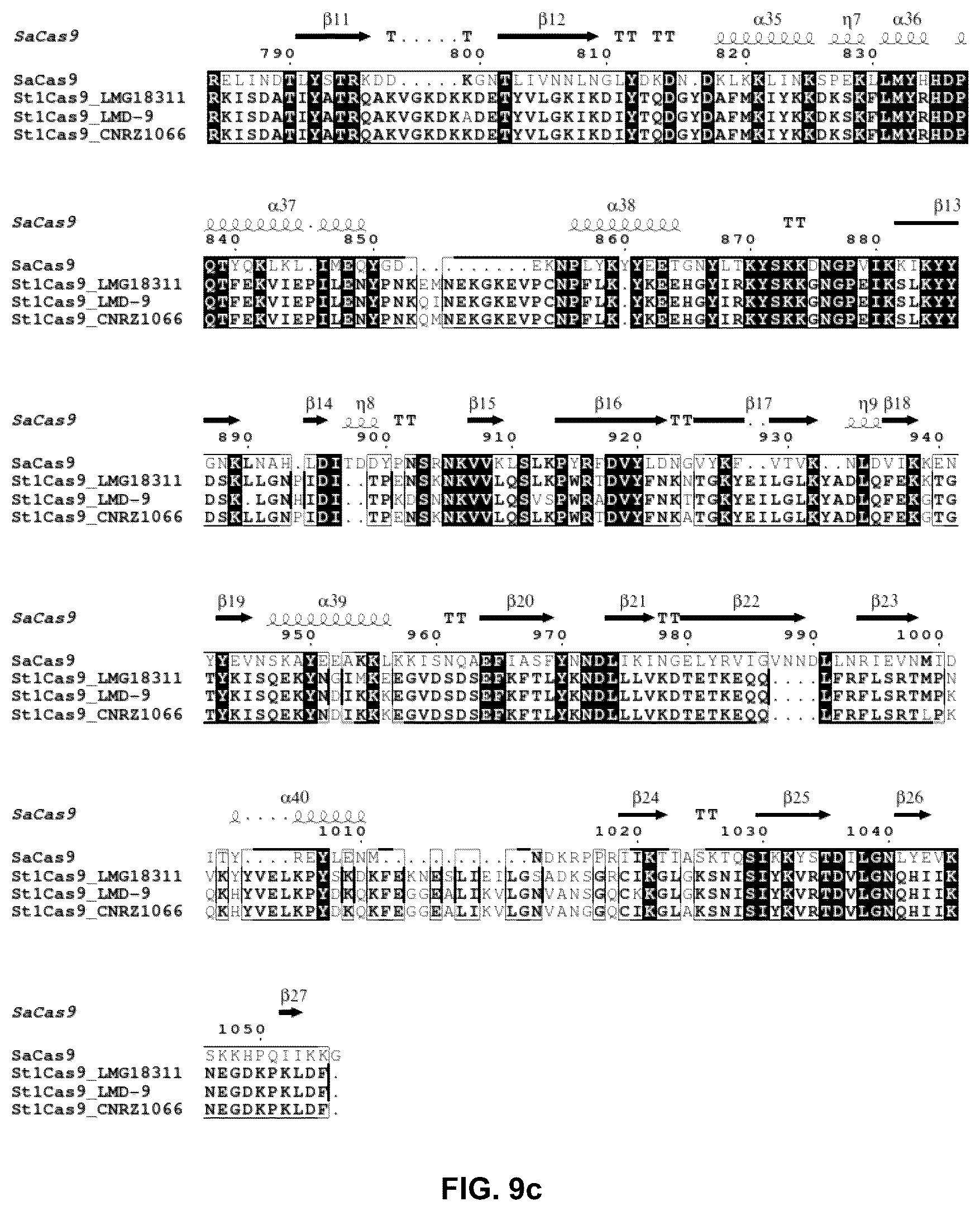 Patent US12378549 Figure 19 – CRISPR-cas9 system and uses thereof
