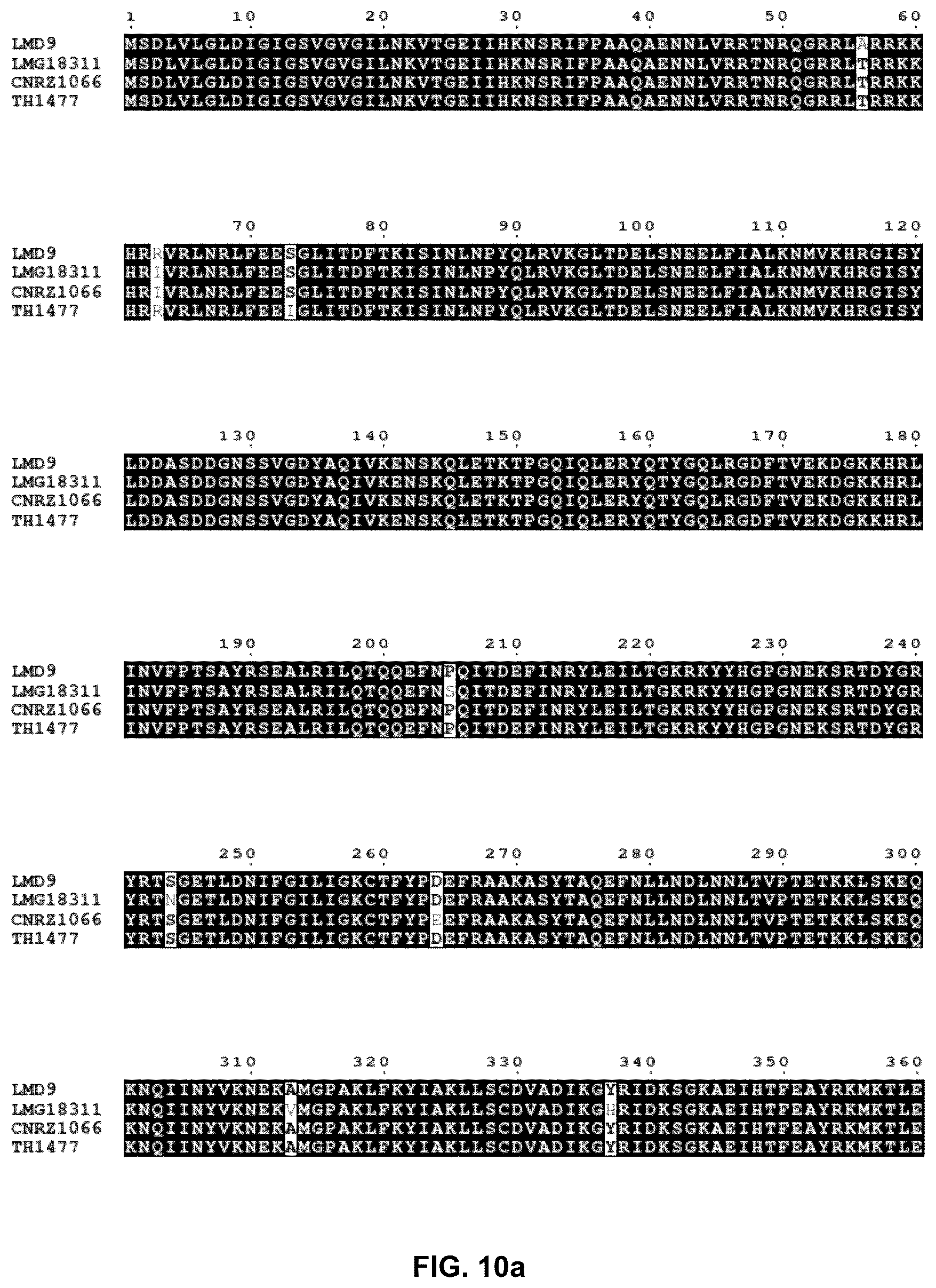 Patent US12378549 Figure 20 – CRISPR-cas9 system and uses thereof